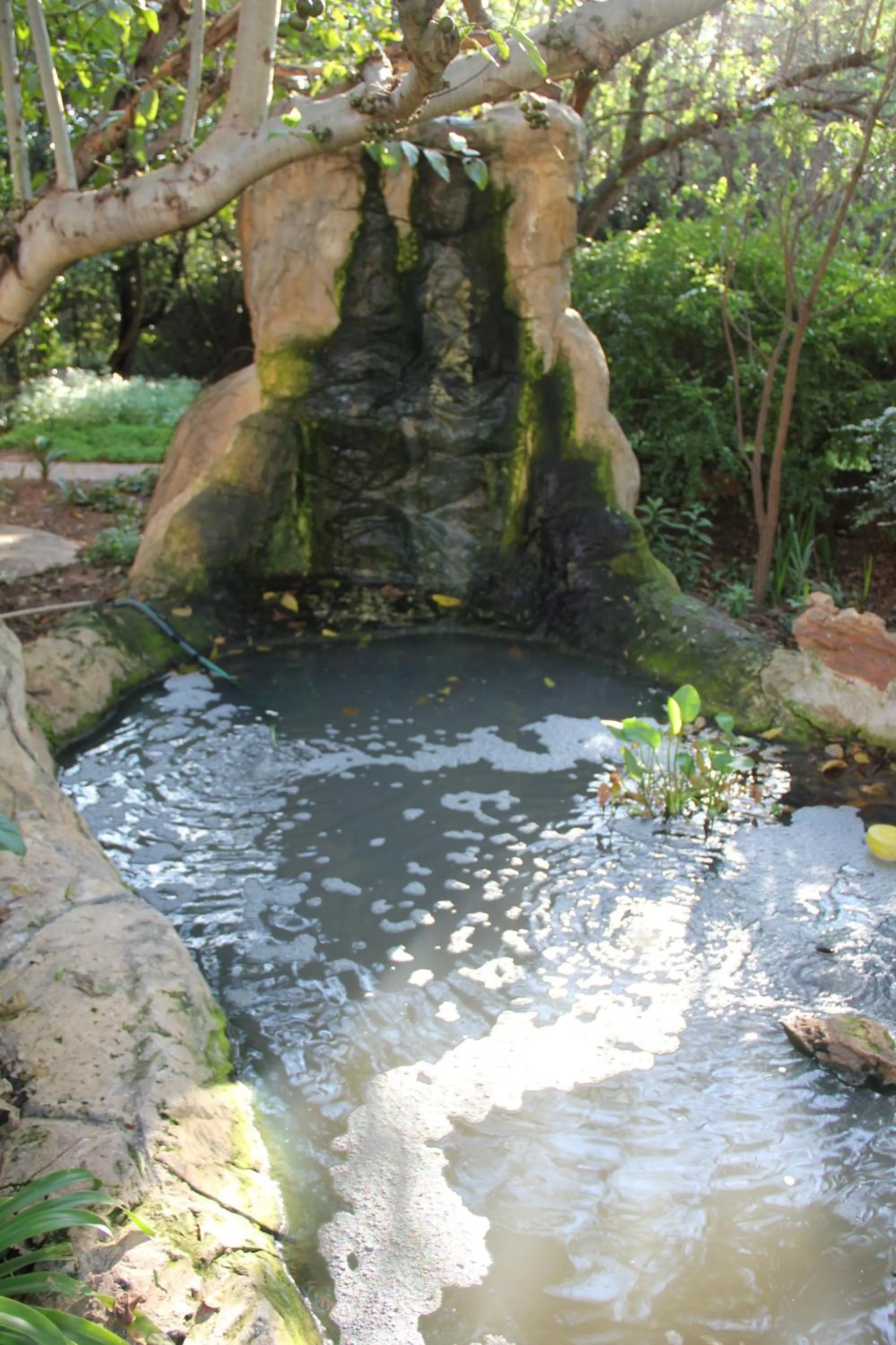 Glenda's Guest Suites