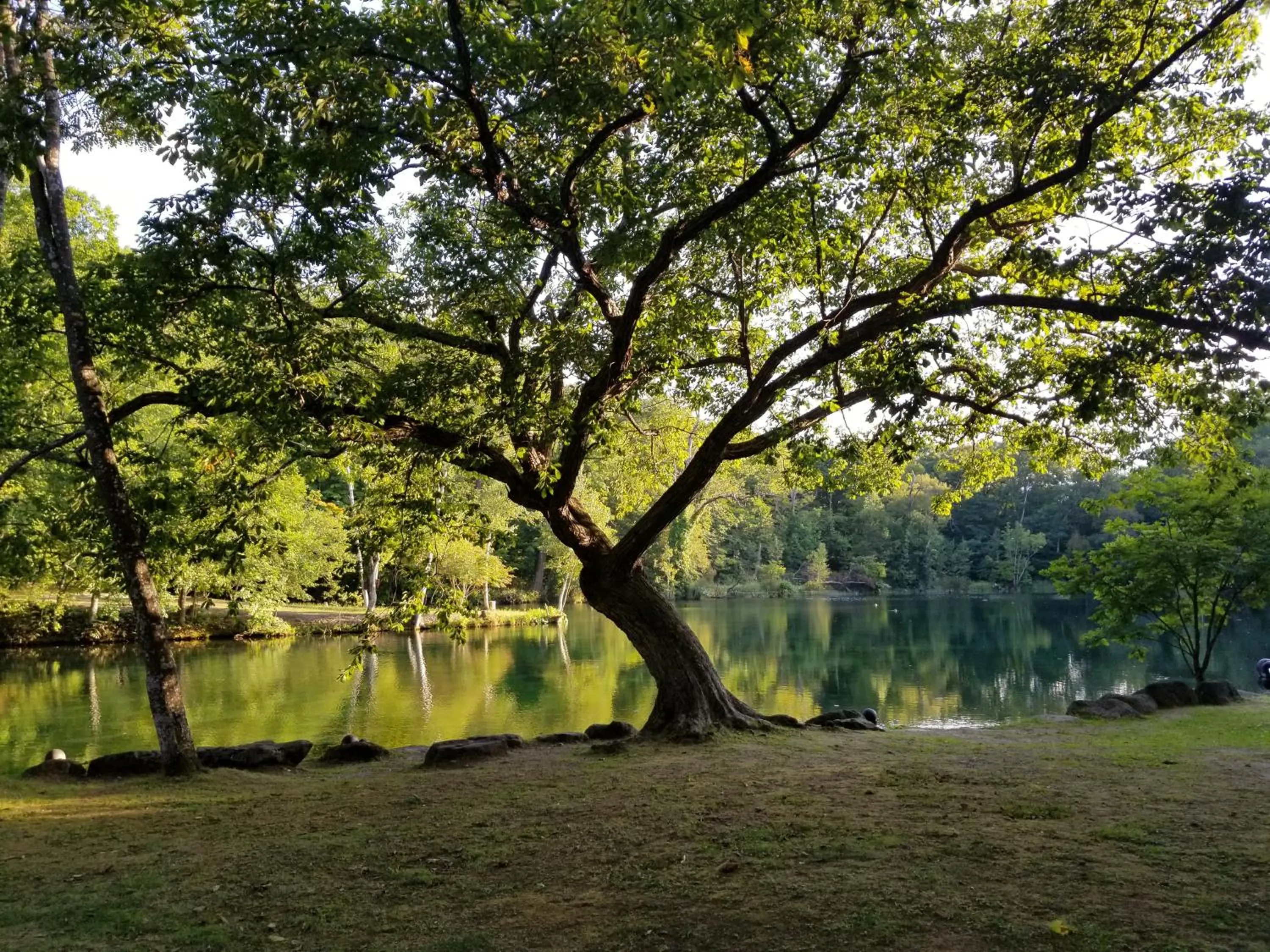Nearby landmark in Hostel Tomar