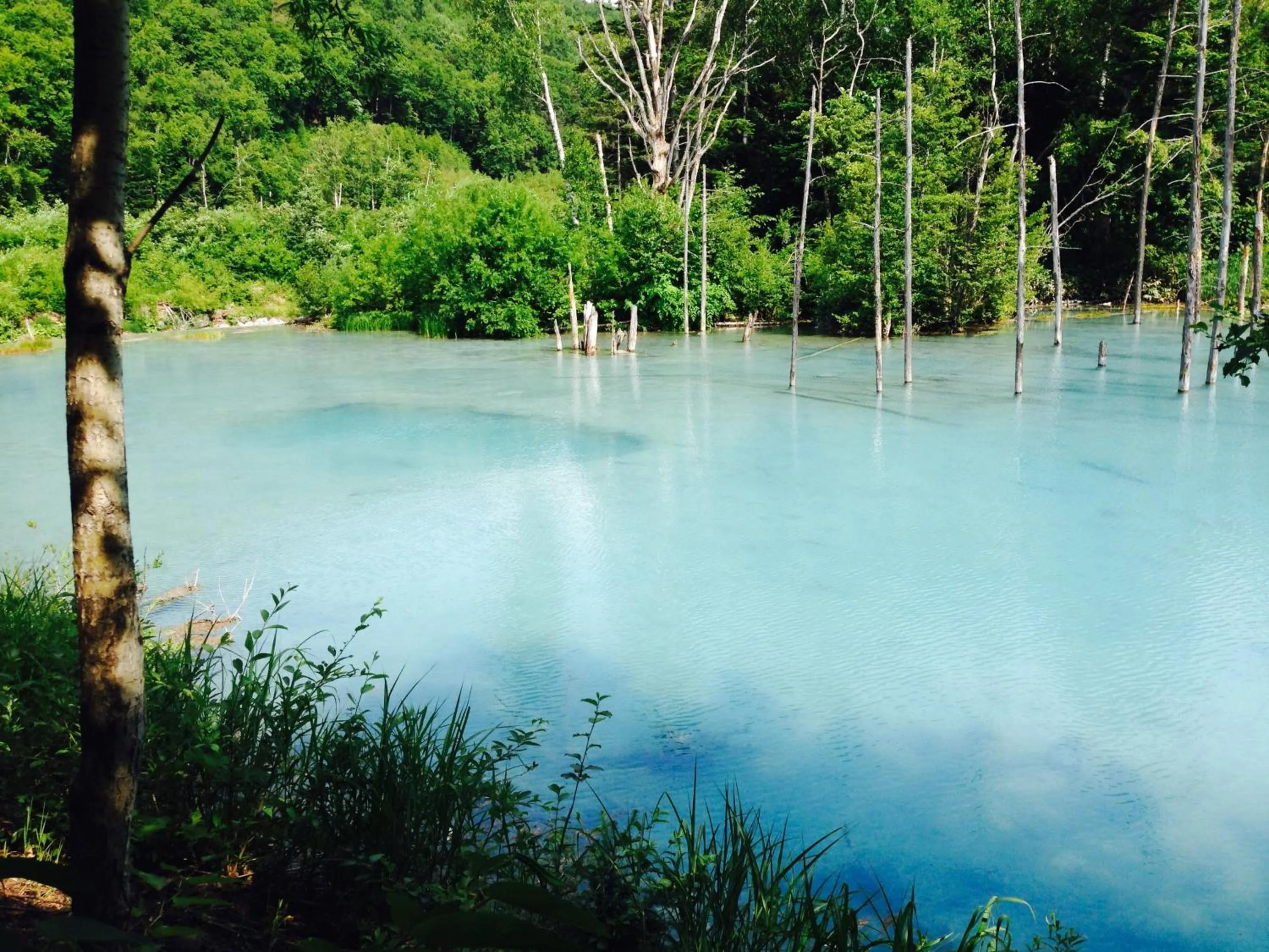 Nearby landmark in Hostel Tomar