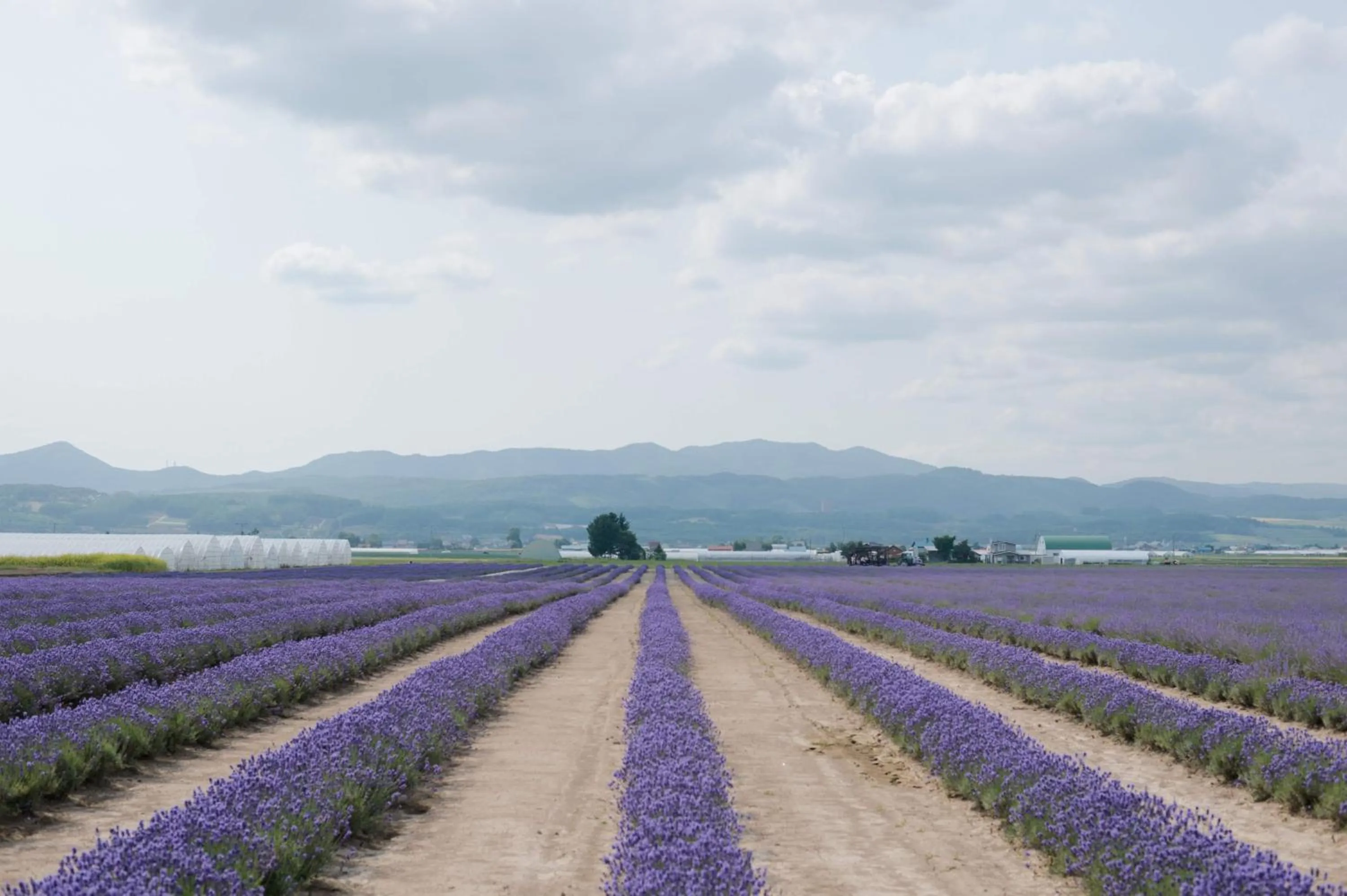 Nearby landmark in Hostel Tomar