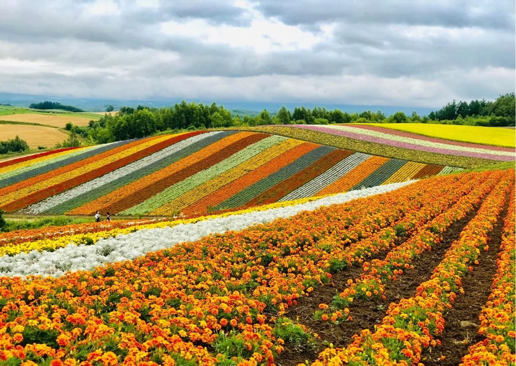 Nearby landmark in Hostel Tomar