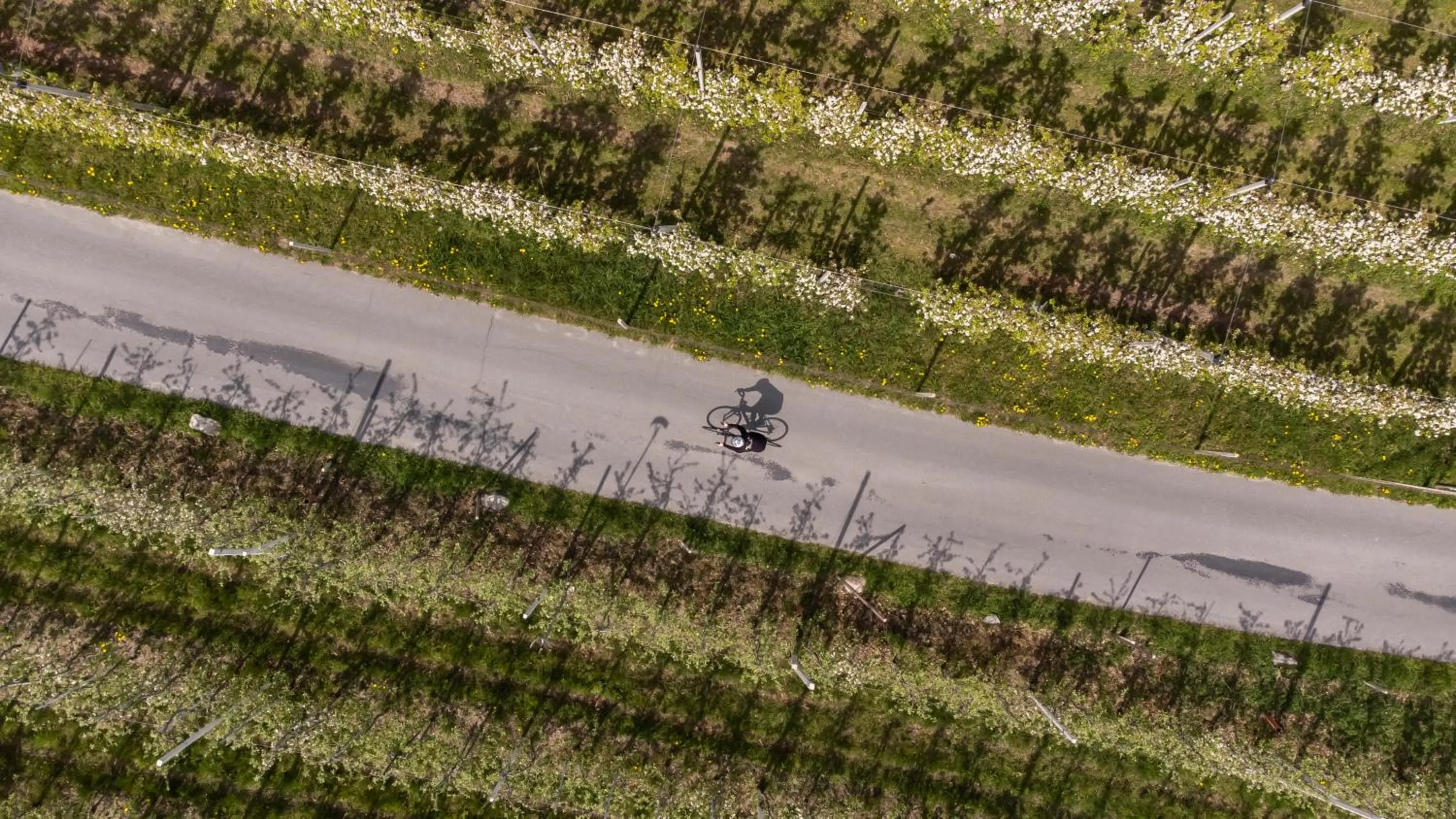 Spring in Garni-Hotel Der Forsterhof