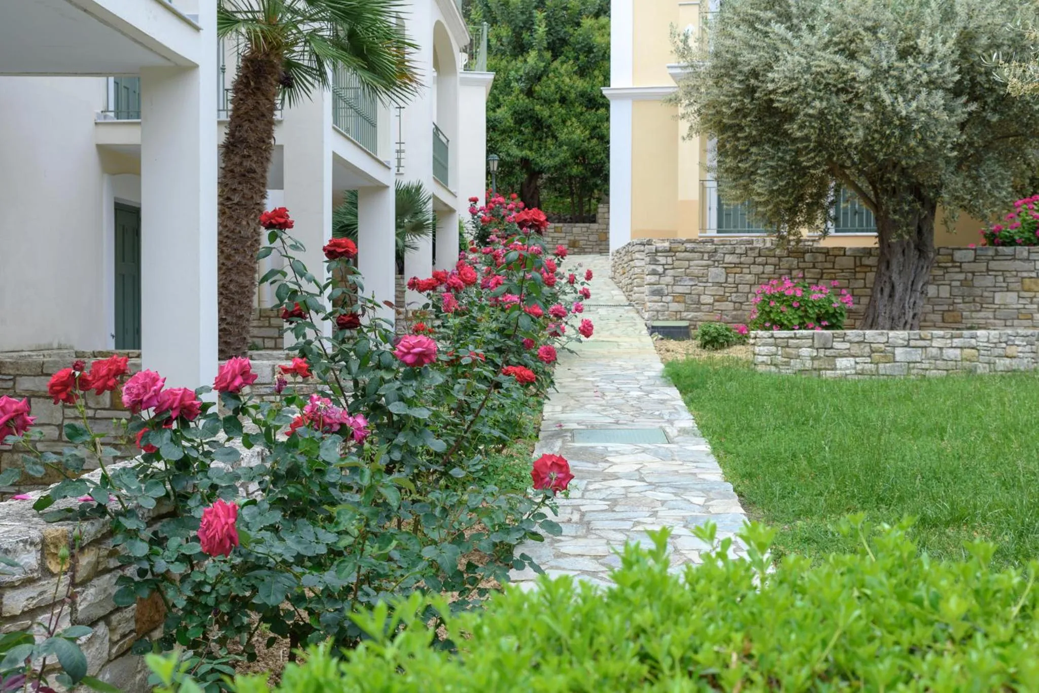 Garden view in Kyveli Hotel Apartments
