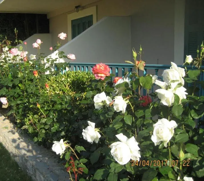 Garden in Kyveli Hotel Apartments