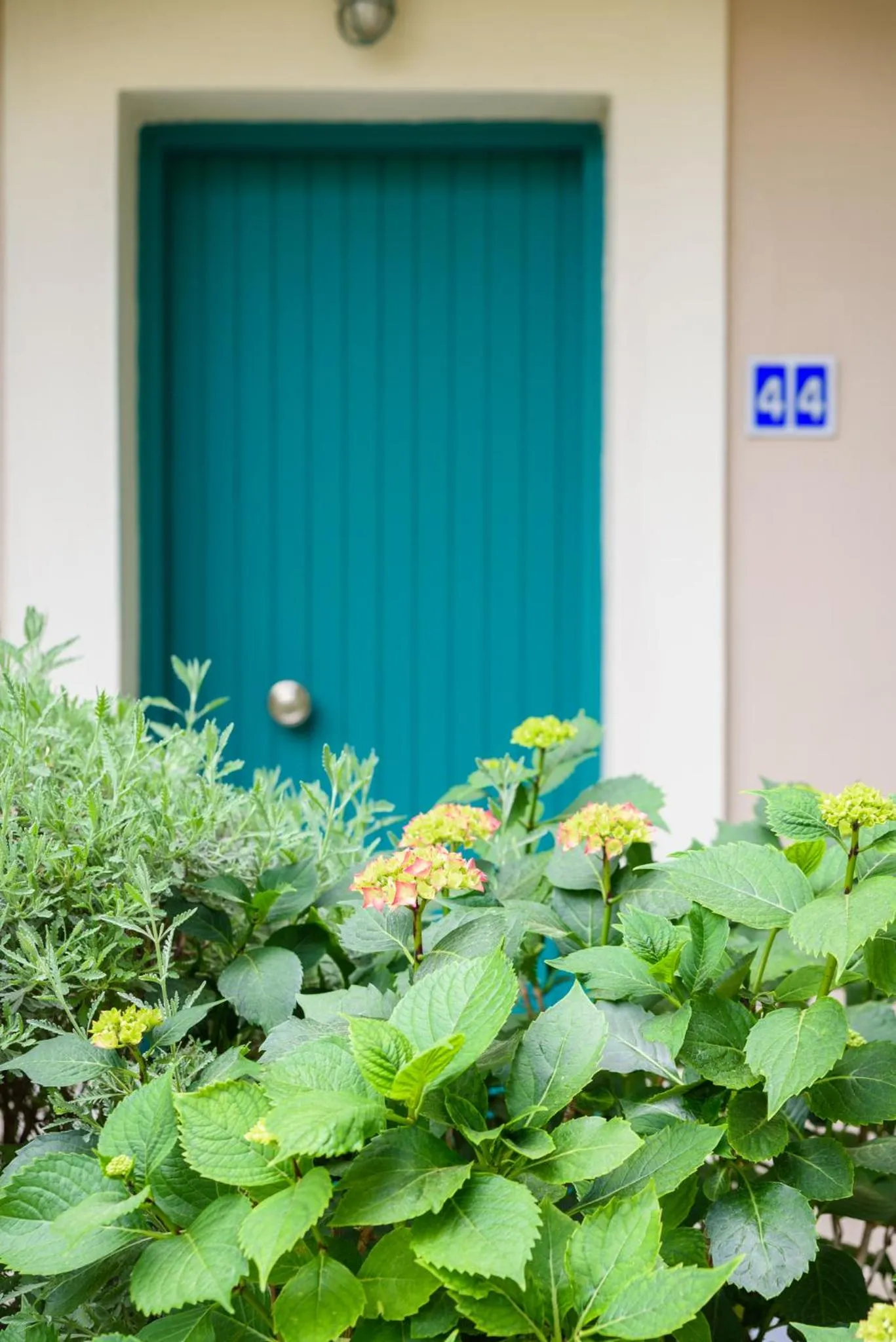 Spring in Kyveli Hotel Apartments