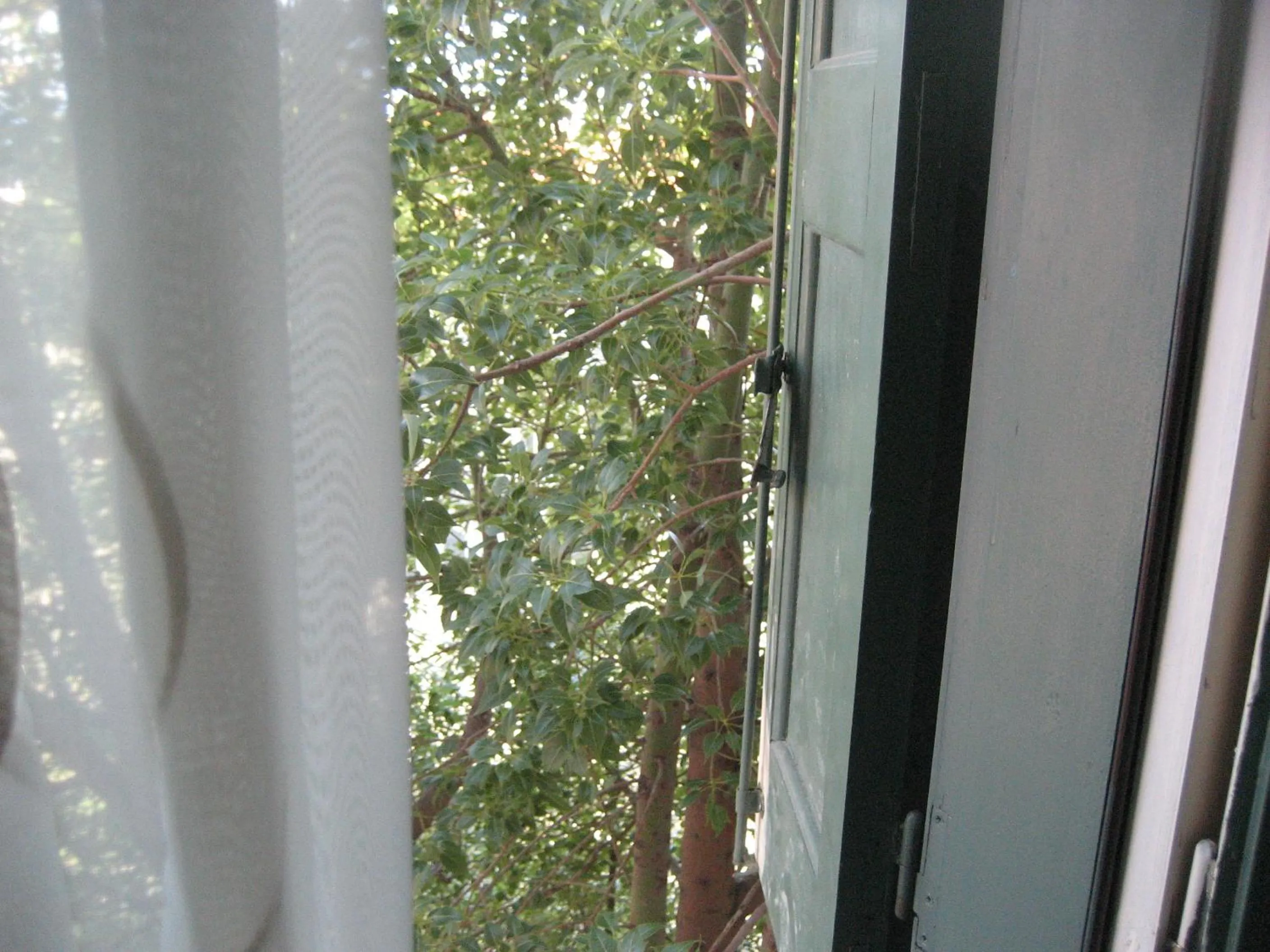 Garden view in Kyveli Hotel Apartments