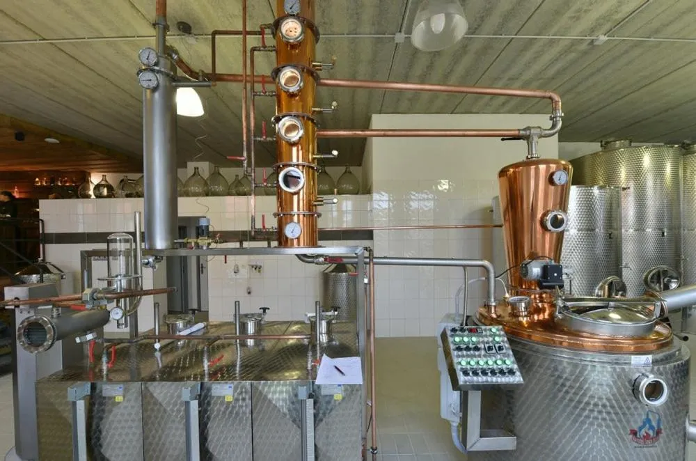 Kitchen or kitchenette in Wellness Hotel Svachovka