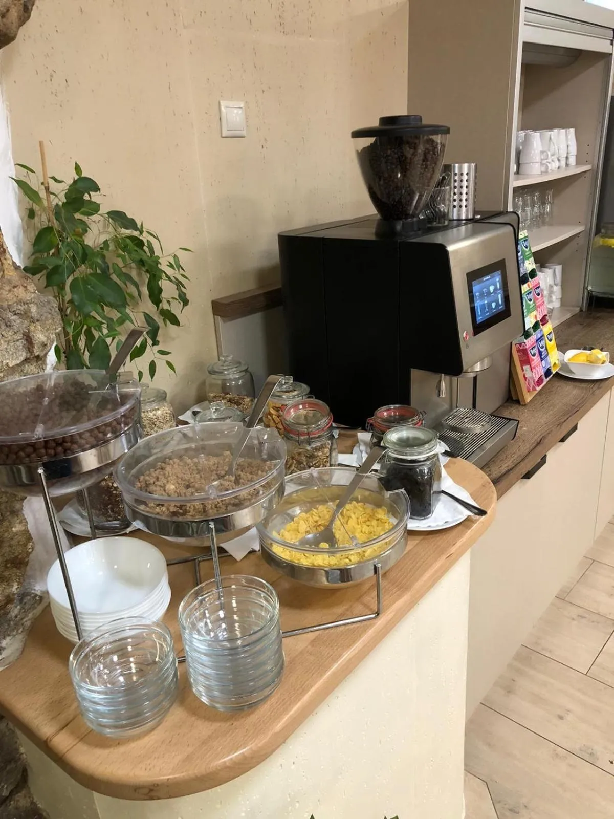 Buffet breakfast in Wellness Hotel Svachovka