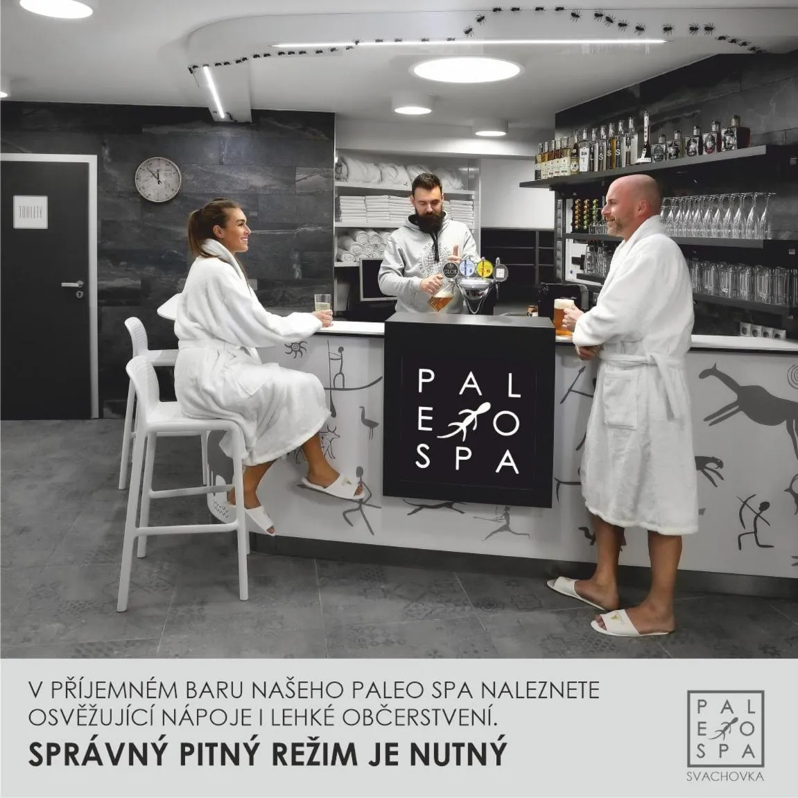 Spa and wellness centre/facilities in Wellness Hotel Svachovka