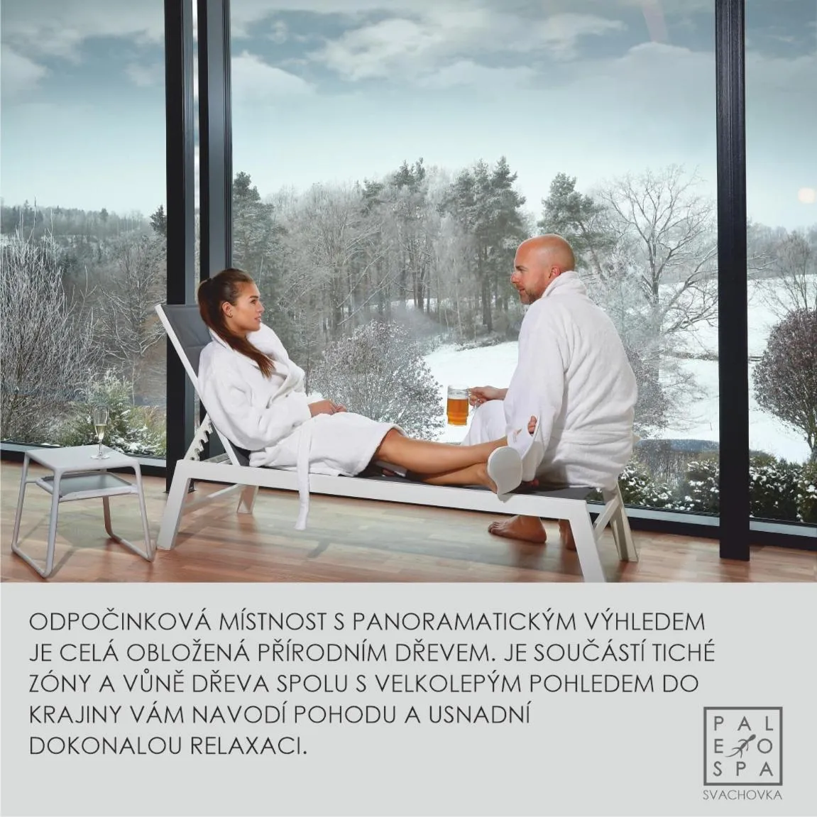 Spa and wellness centre/facilities in Wellness Hotel Svachovka