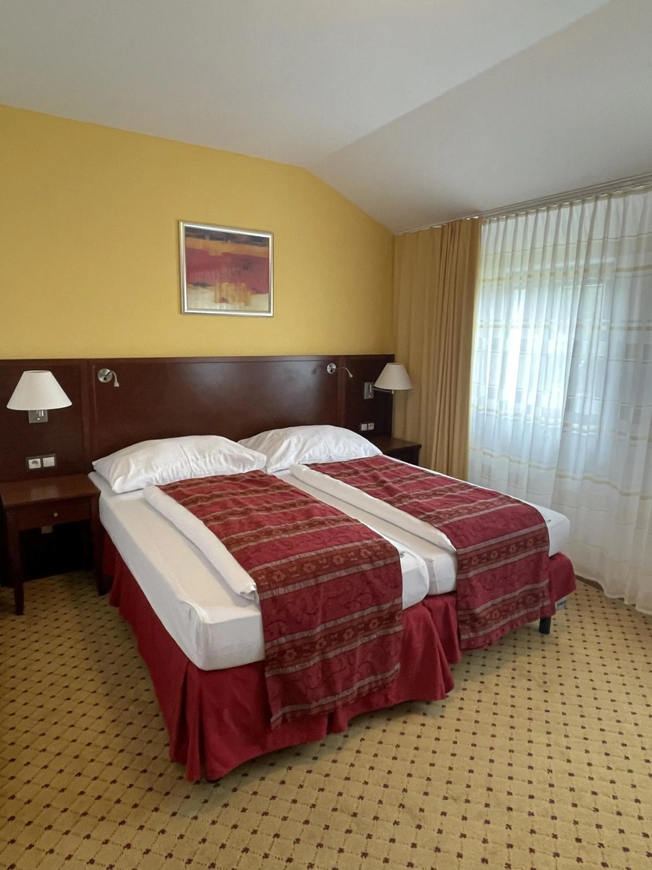 Bed in Wellness Hotel Svachovka