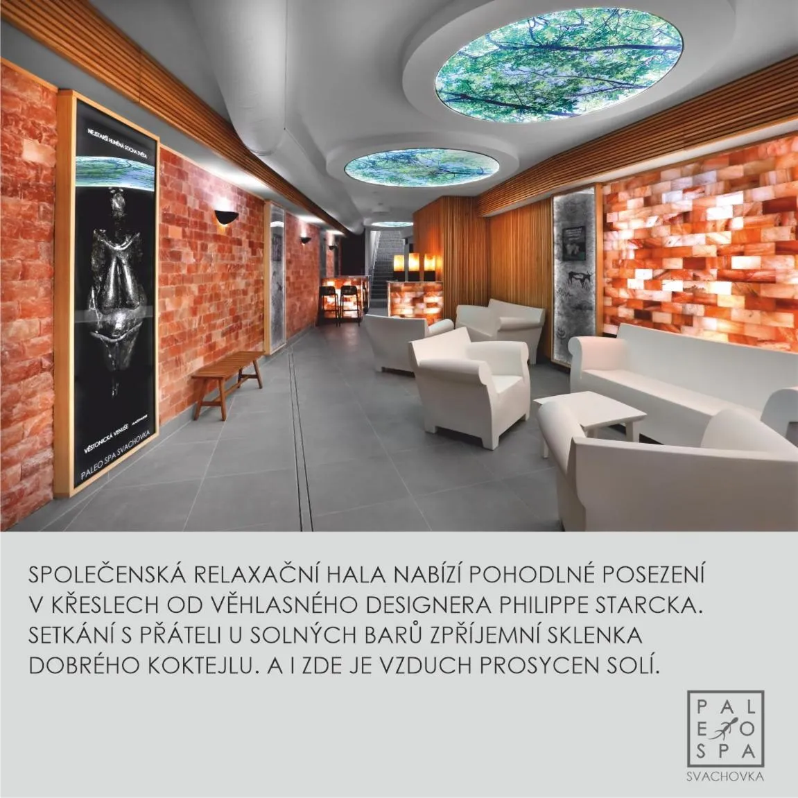 Spa and wellness centre/facilities in Wellness Hotel Svachovka