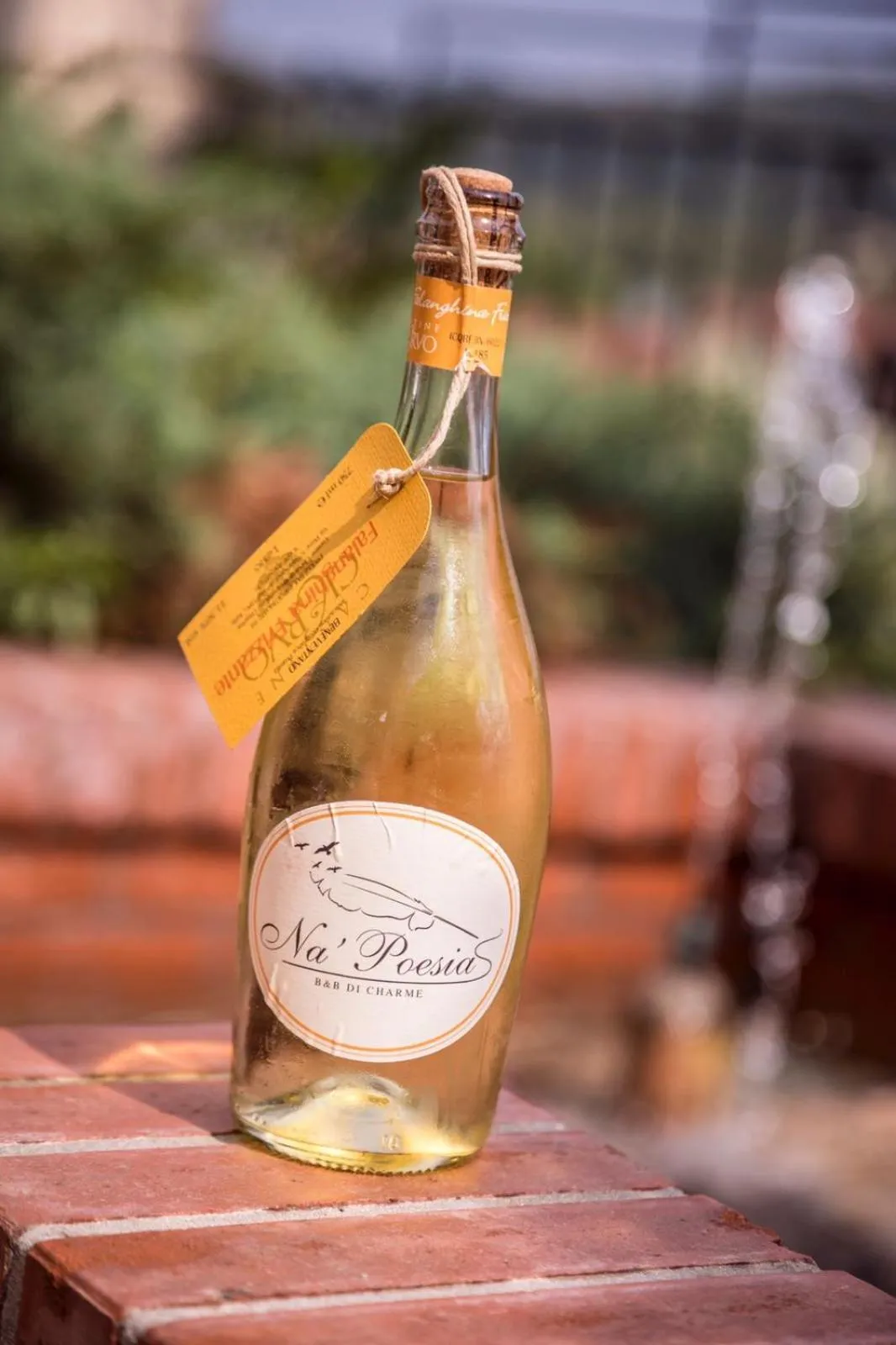 Swimming pool in Na' Poesia B&B di Charme