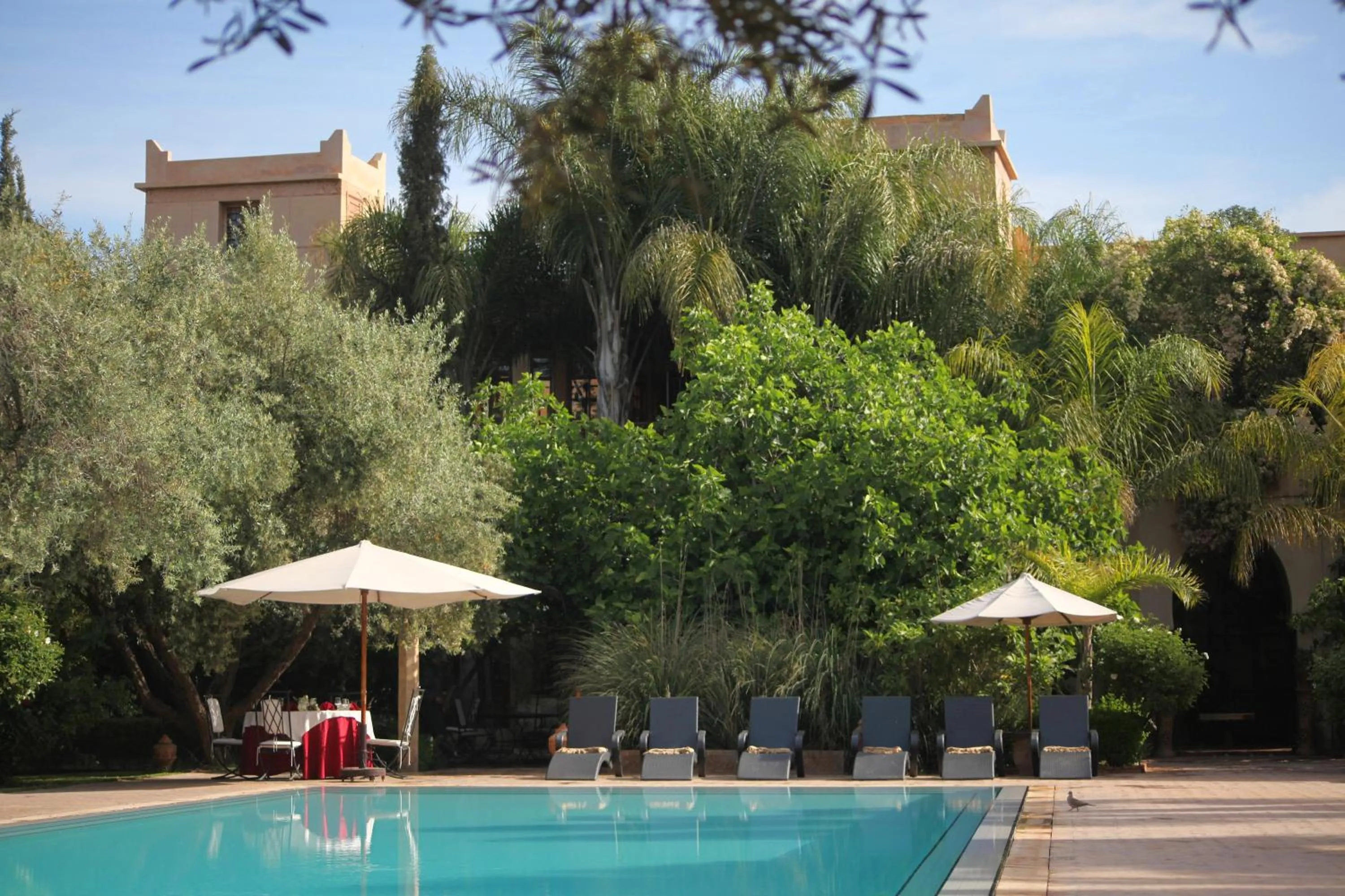 Swimming pool in La Maison Arabe Hotel, Spa & Cooking Workshops