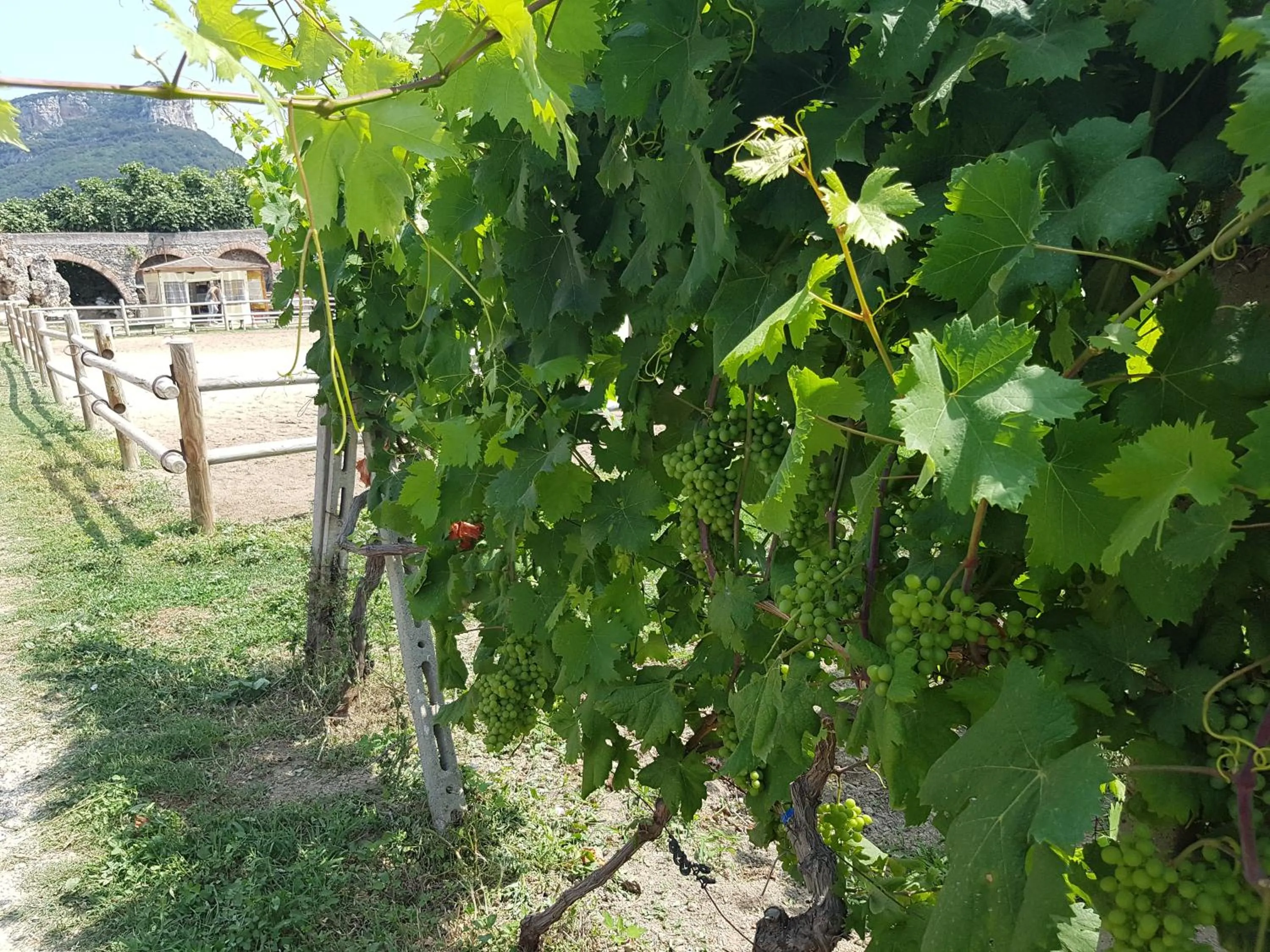 Nearby landmark in Il Villaggio Di Giuele