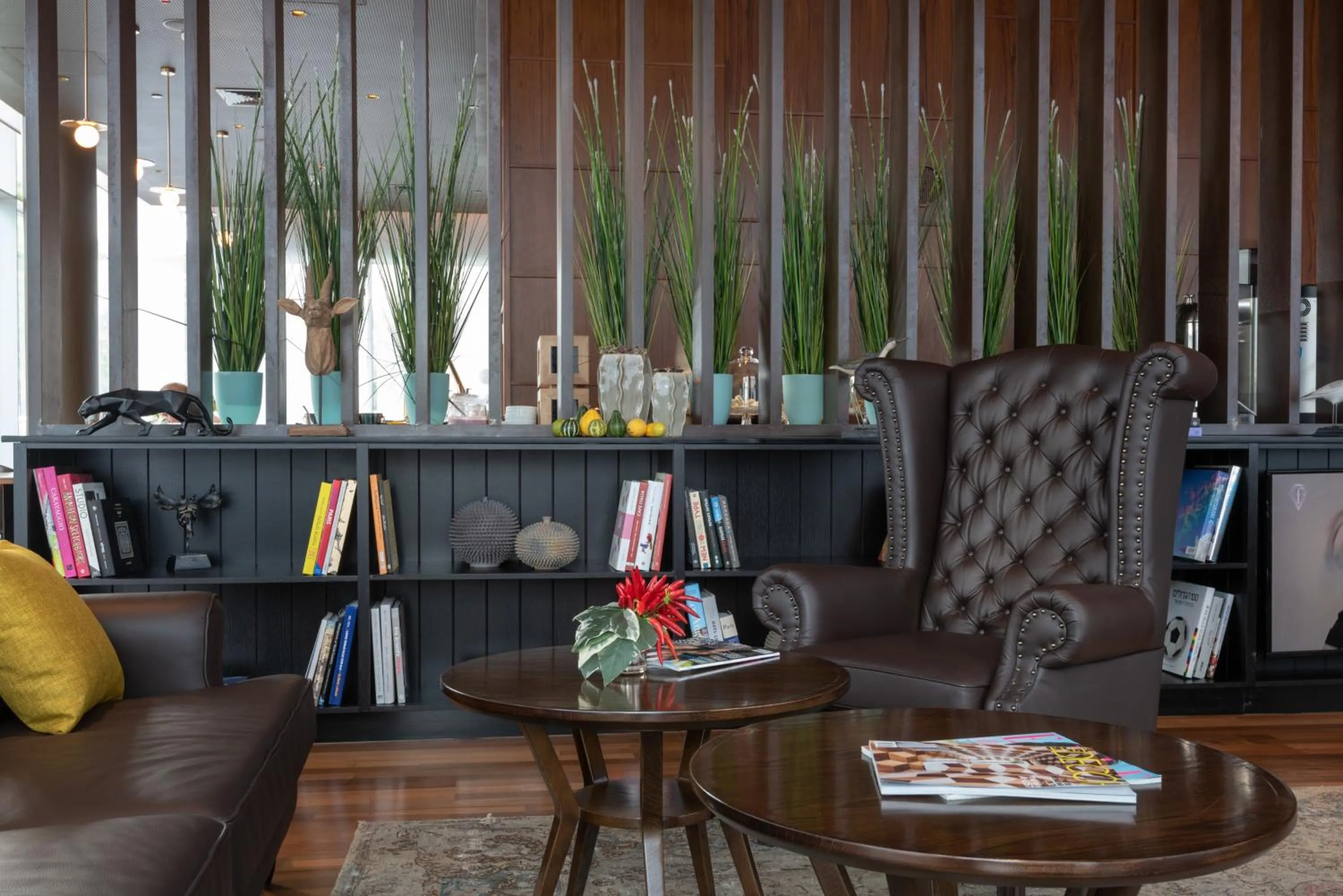 Area and facilities in NYX Herzliya