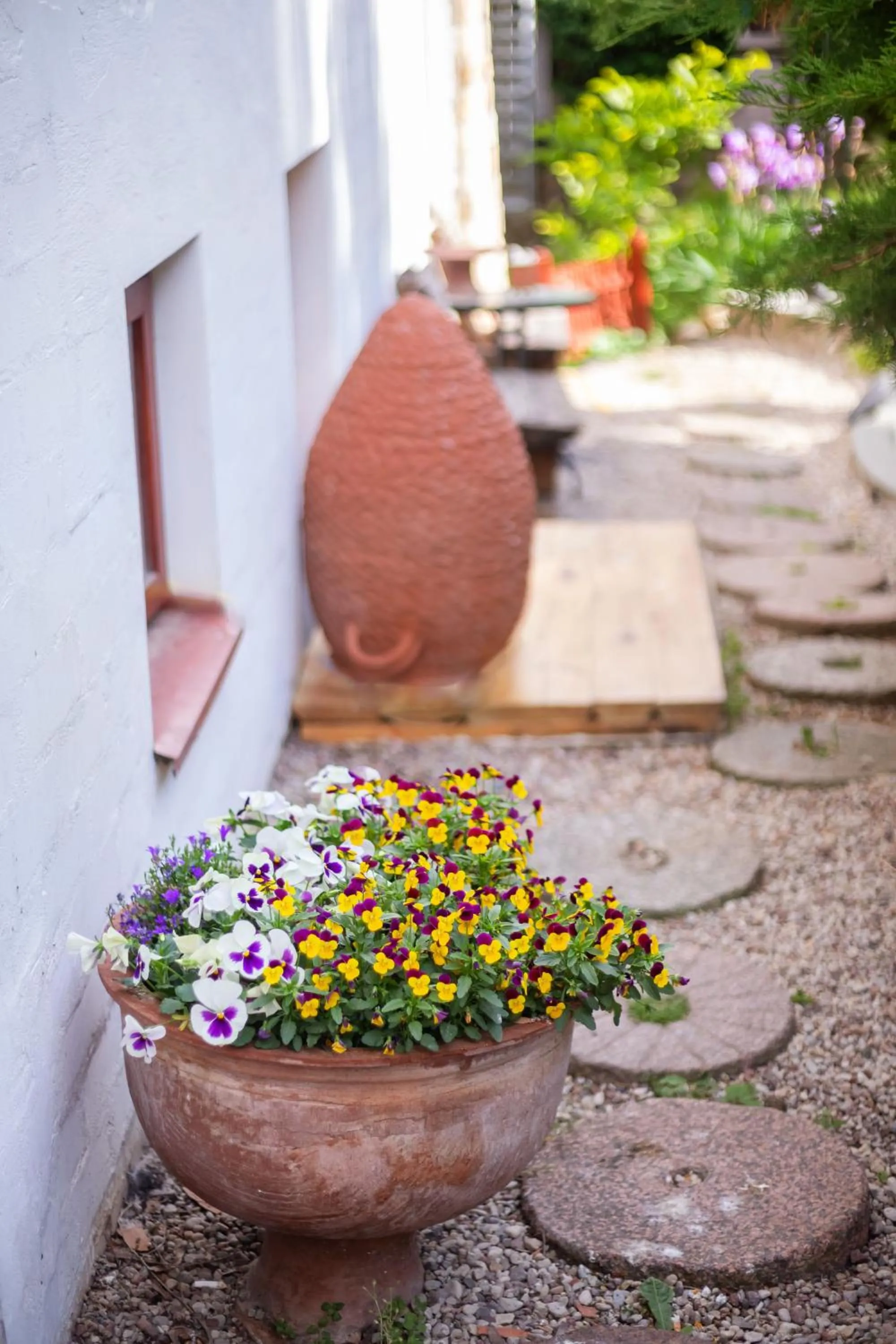 Spring in House of Sun