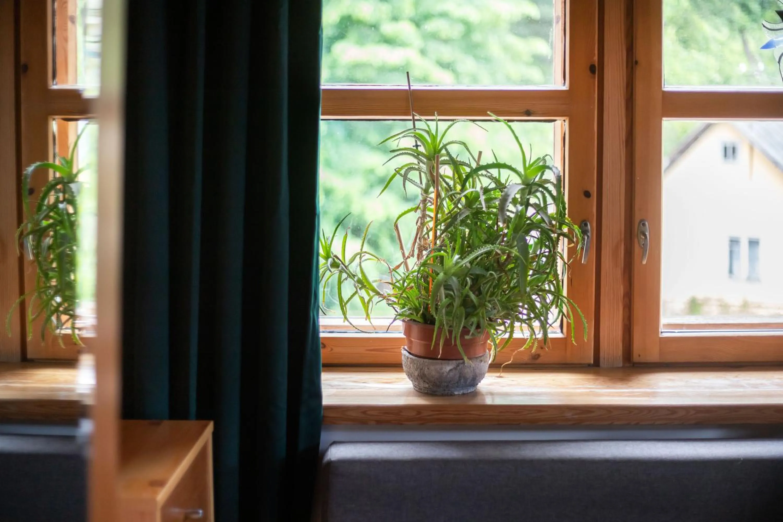 Decorative detail in House of Sun