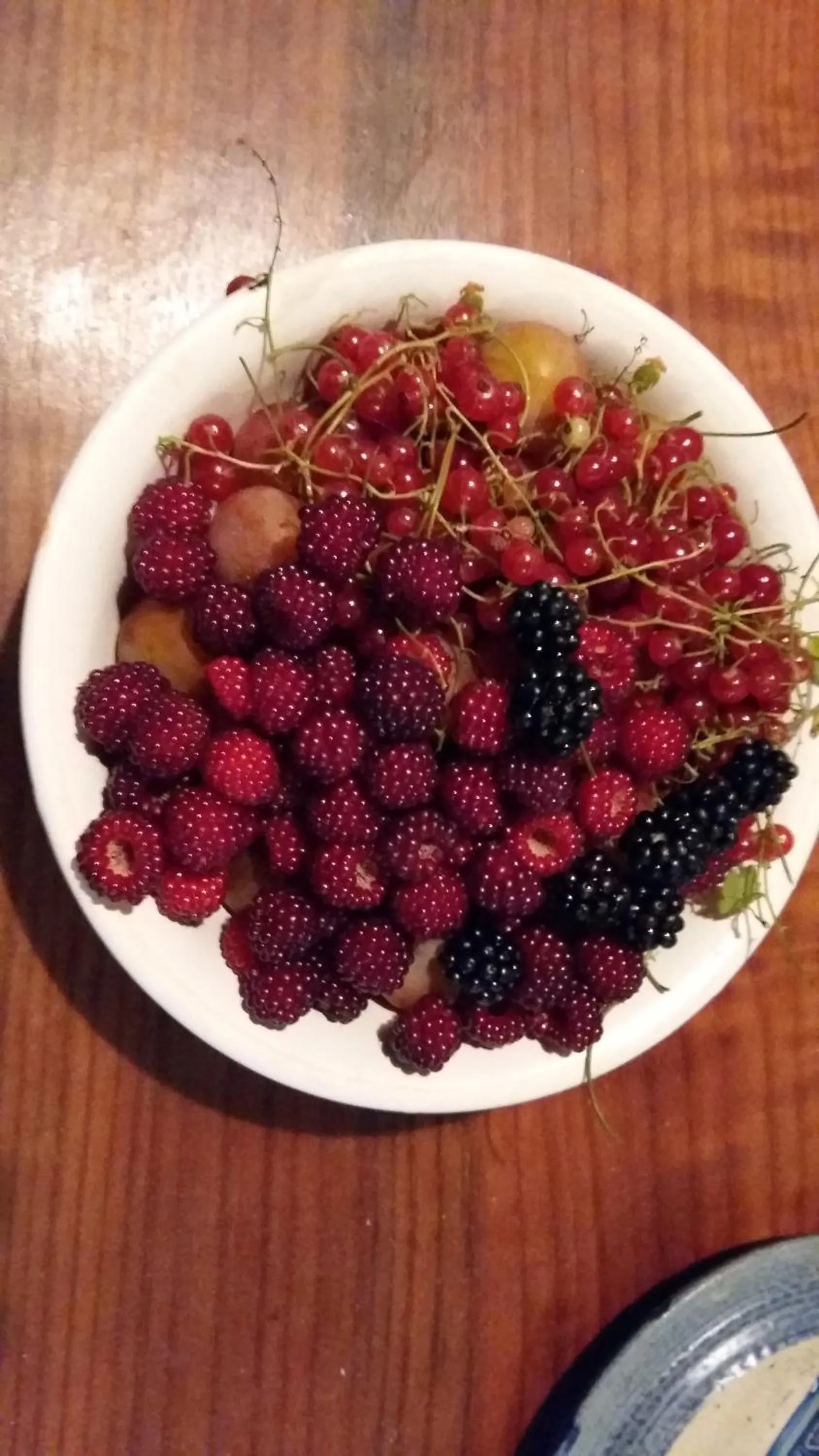 Breakfast in Altes Pfarrhaus