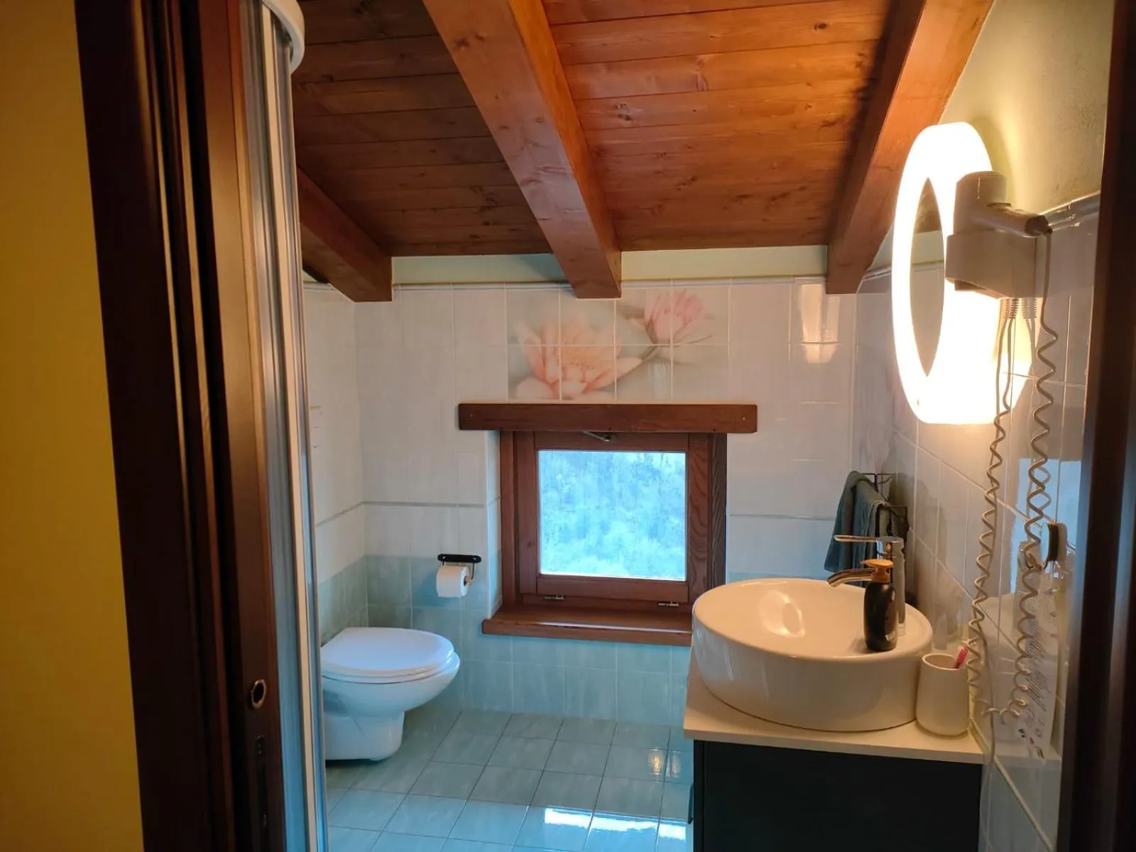 Toilet in B&B Il Ghiro-Country House