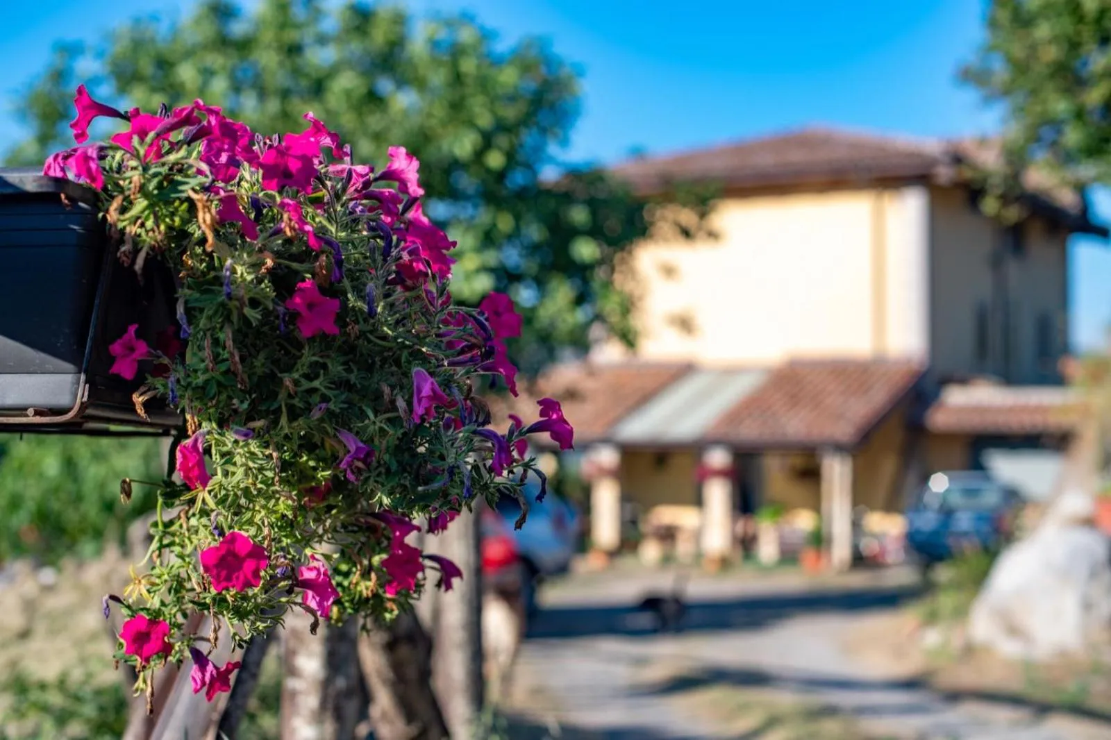 Property building in B&B Il Ghiro-Country House