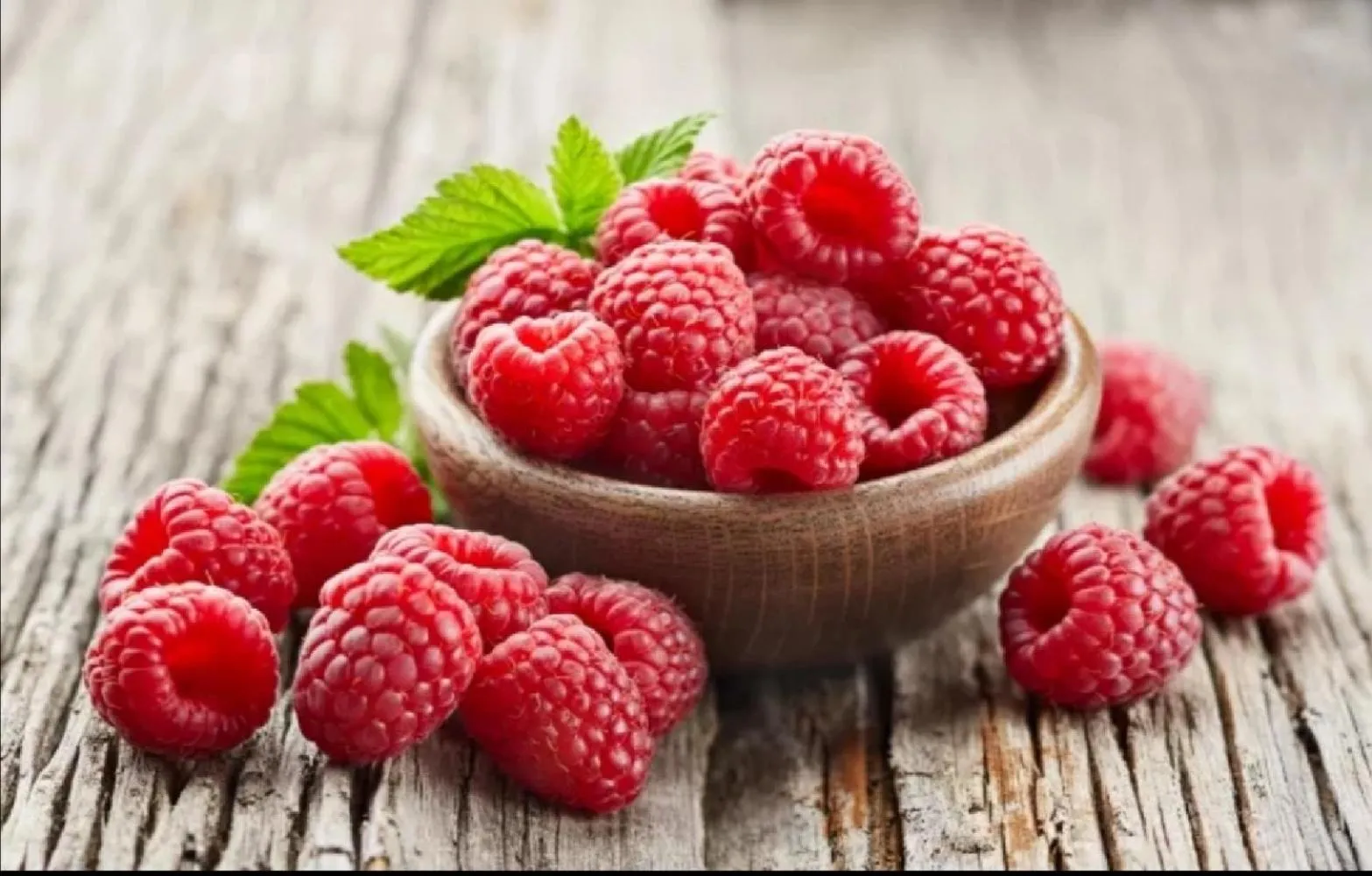 Food and drinks in B&B Il Ghiro-Country House