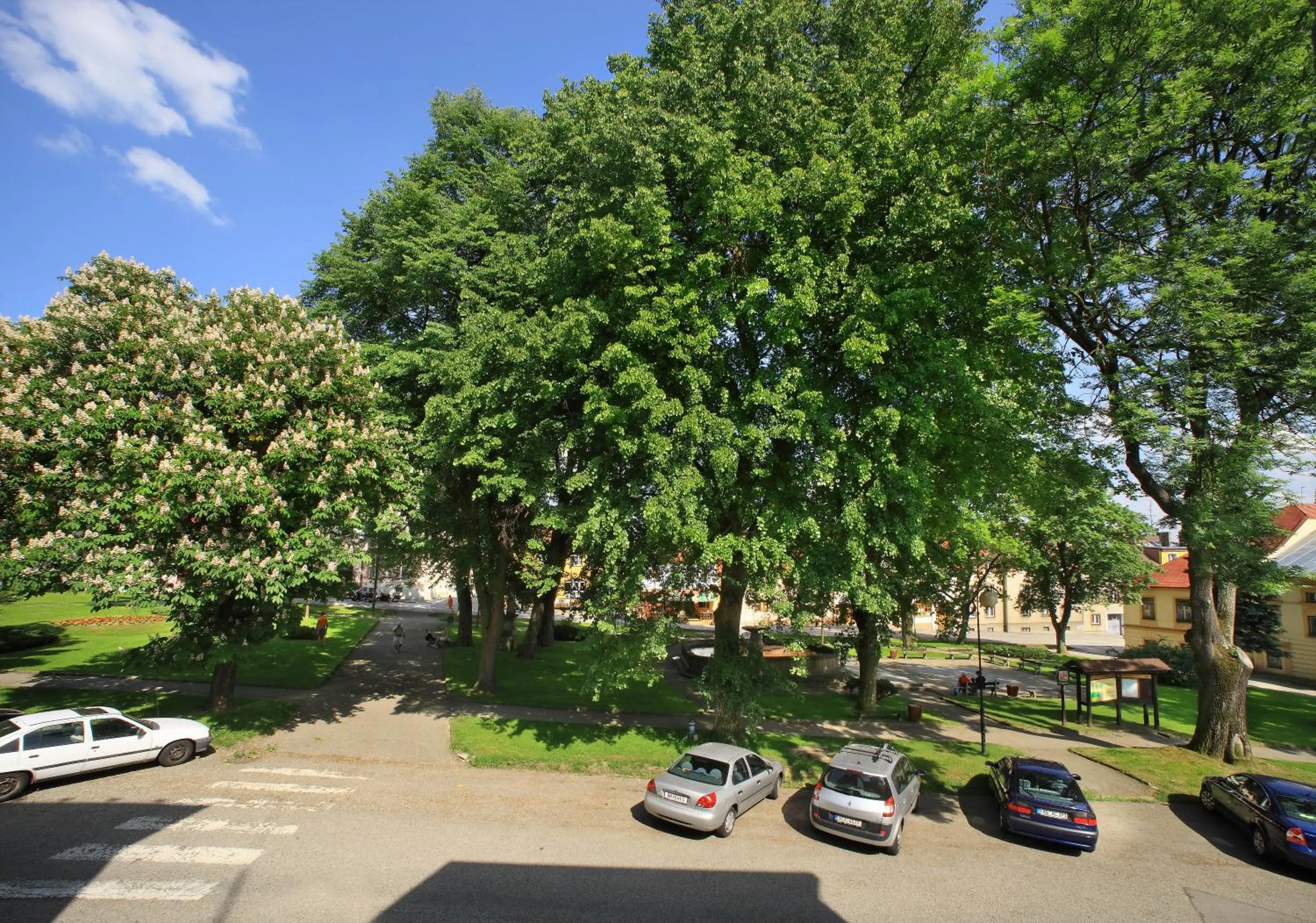 City view in Pension Adam