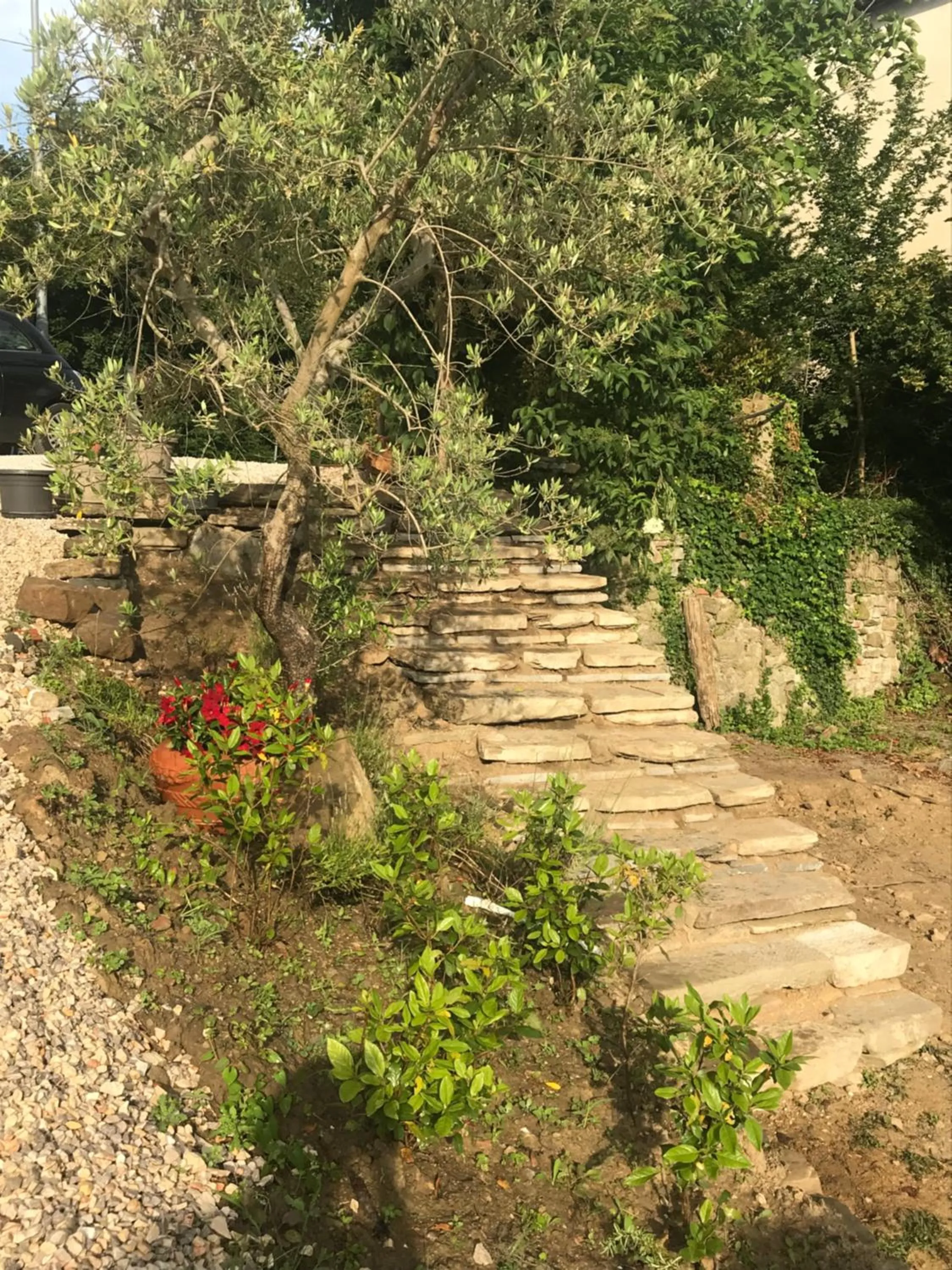 Garden in DormiVeglia B&B