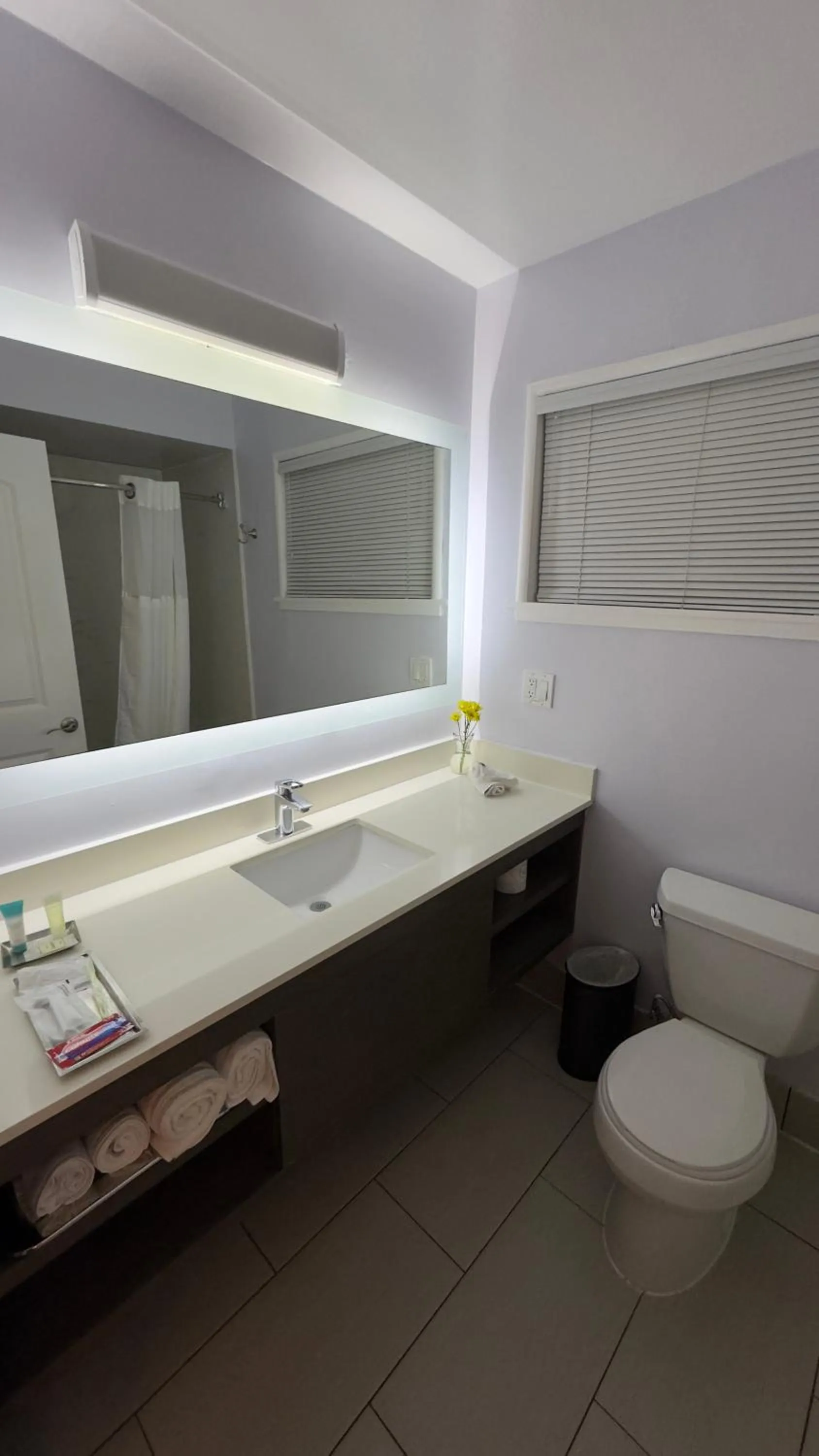 Toilet in The Palo Alto Inn