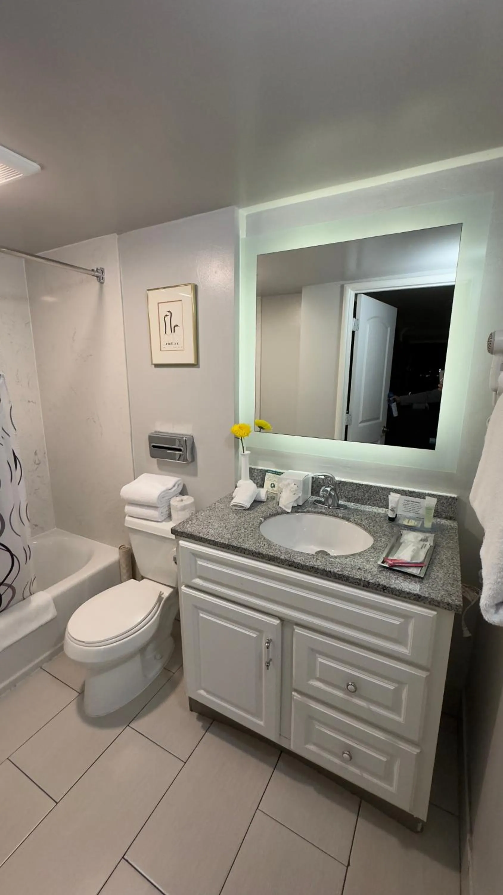 Toilet in The Palo Alto Inn