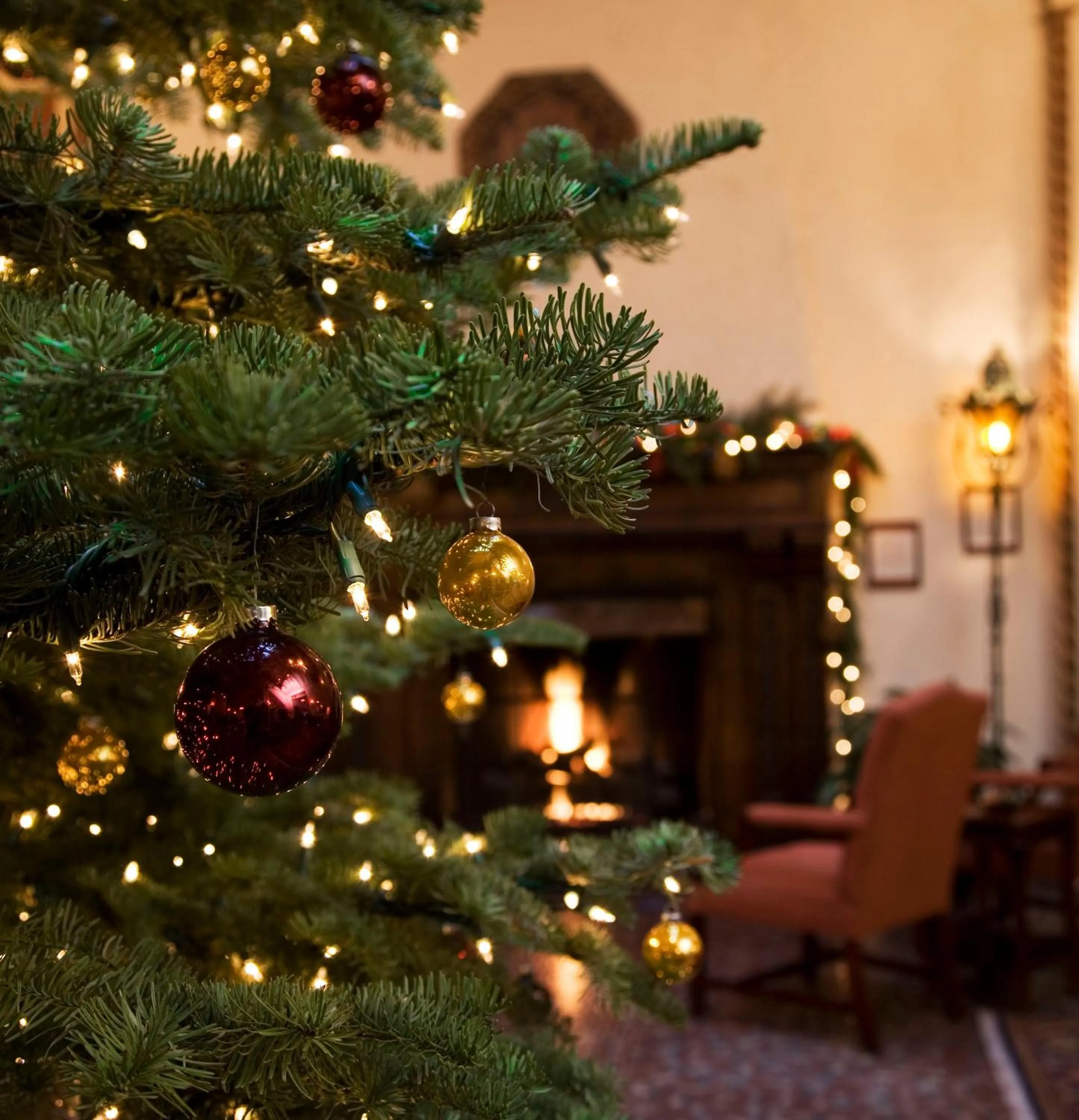 Other in Cardinal Hotel