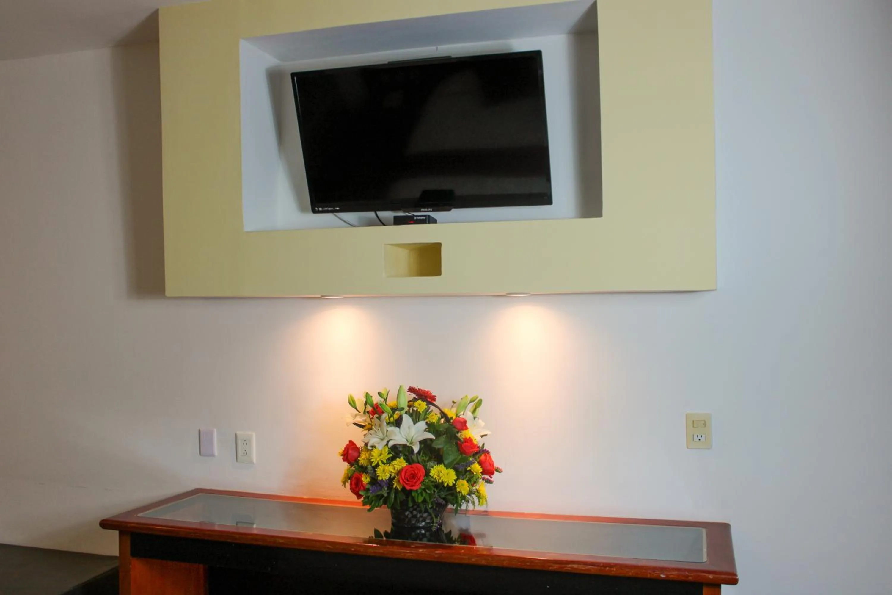 TV and multimedia in GS Cuernavaca