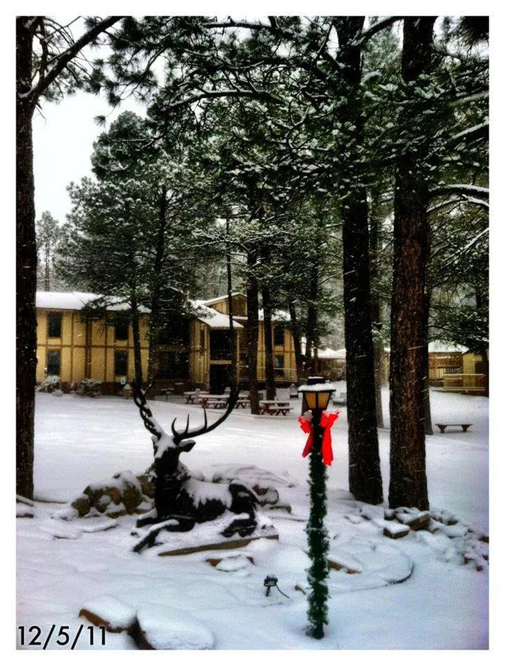Property building in Village Lodge