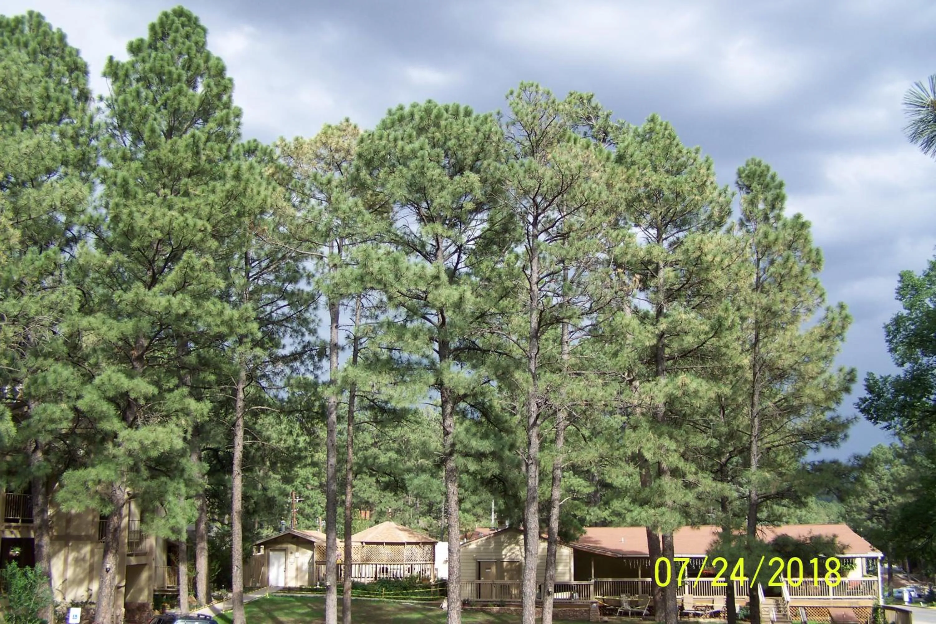 Property building in Village Lodge