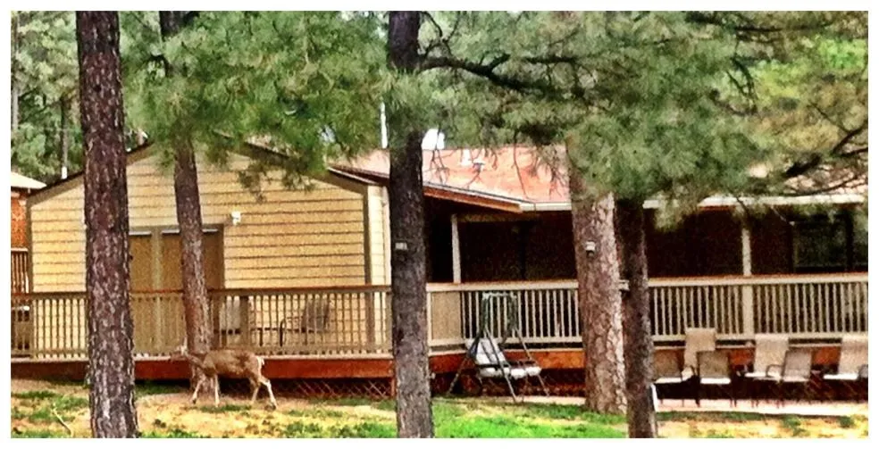 Property building in Village Lodge