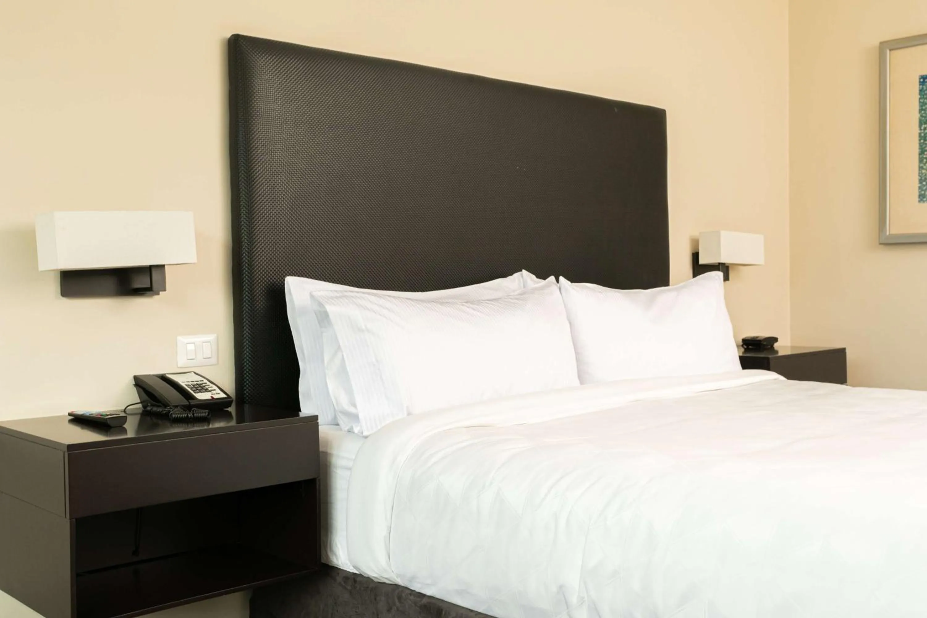 Bed in Hilton San Salvador