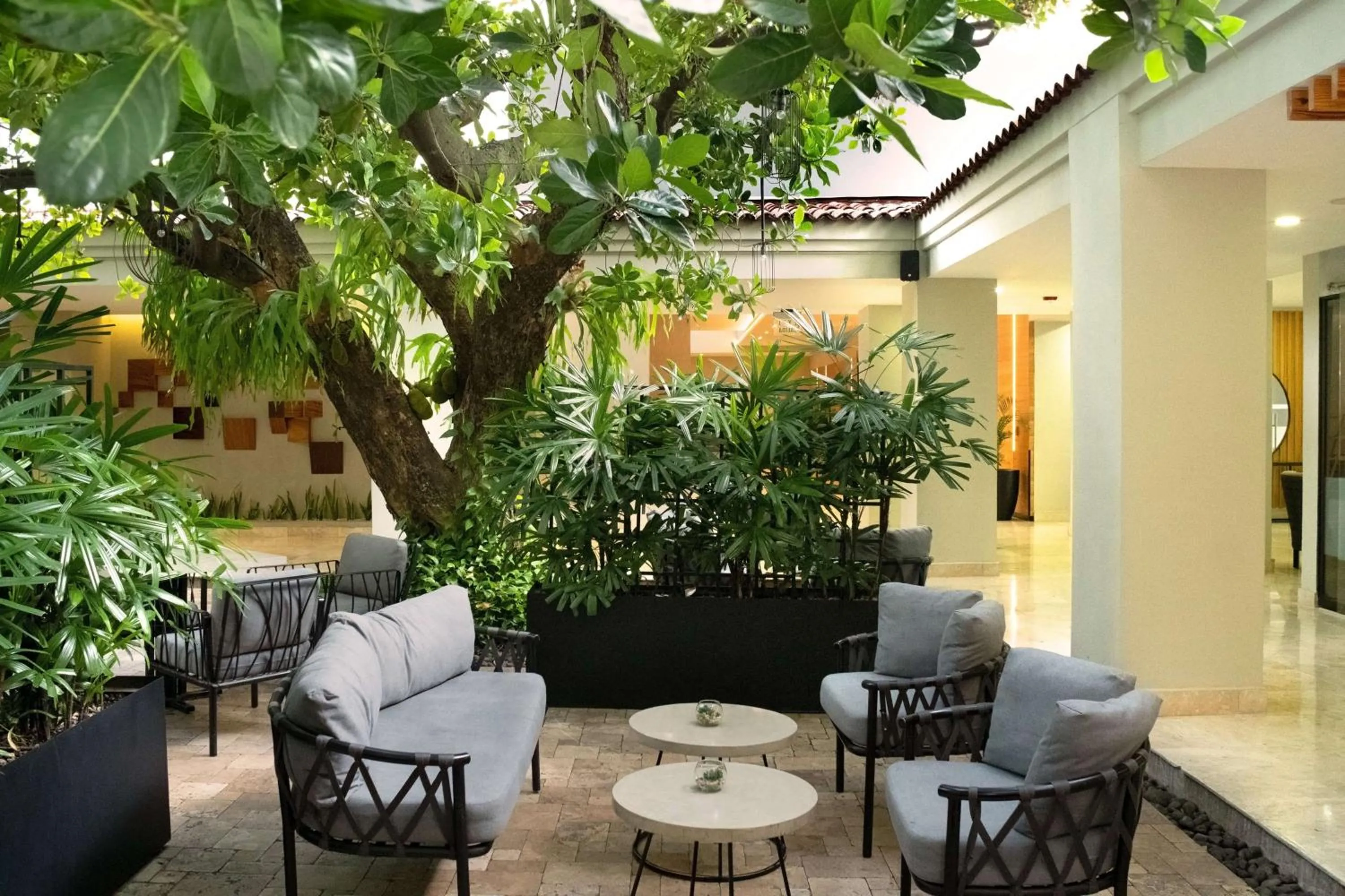 Patio in Hilton San Salvador
