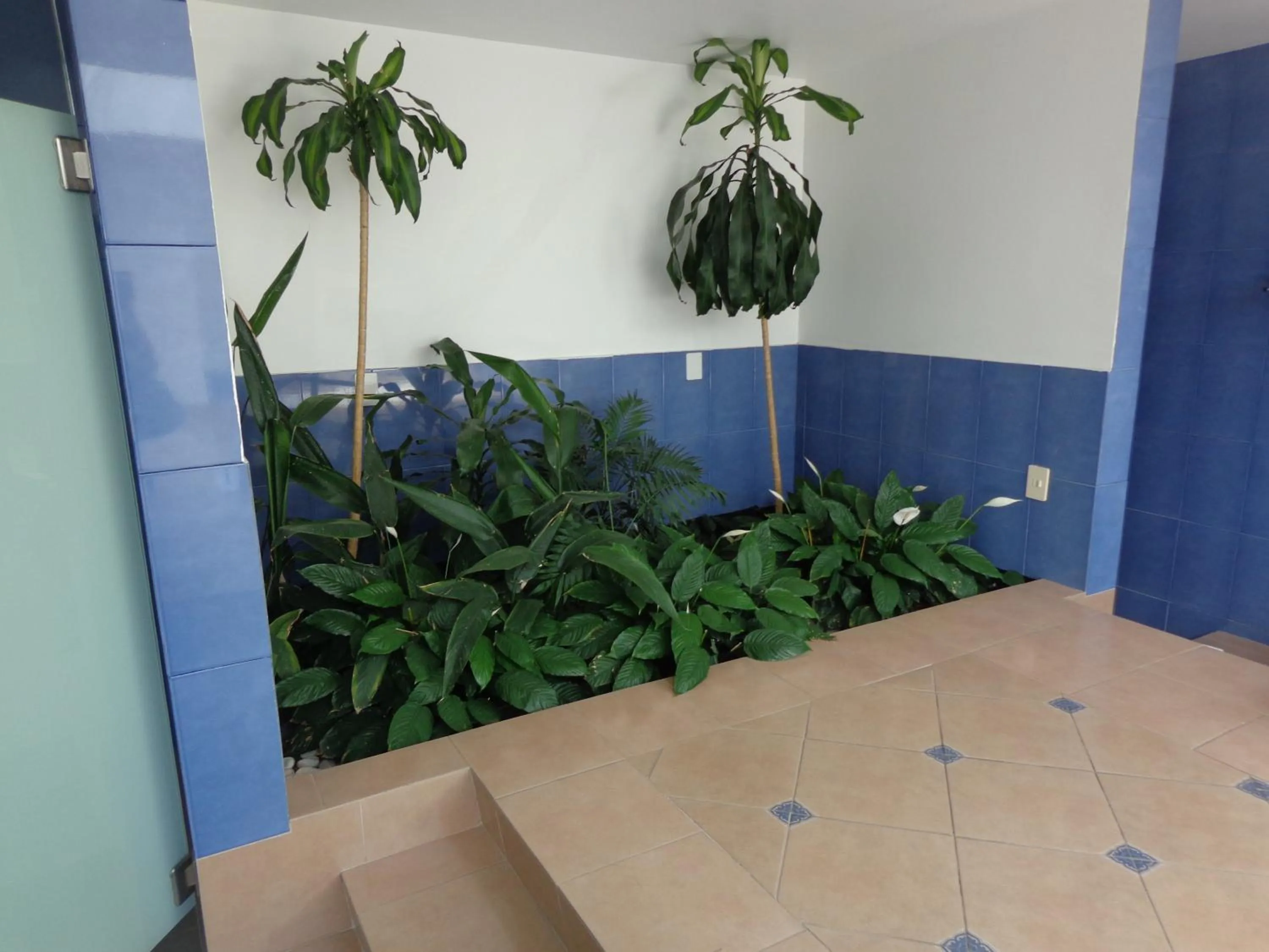 Bathroom in GS Cuernavaca Drive Inn - Adults Only