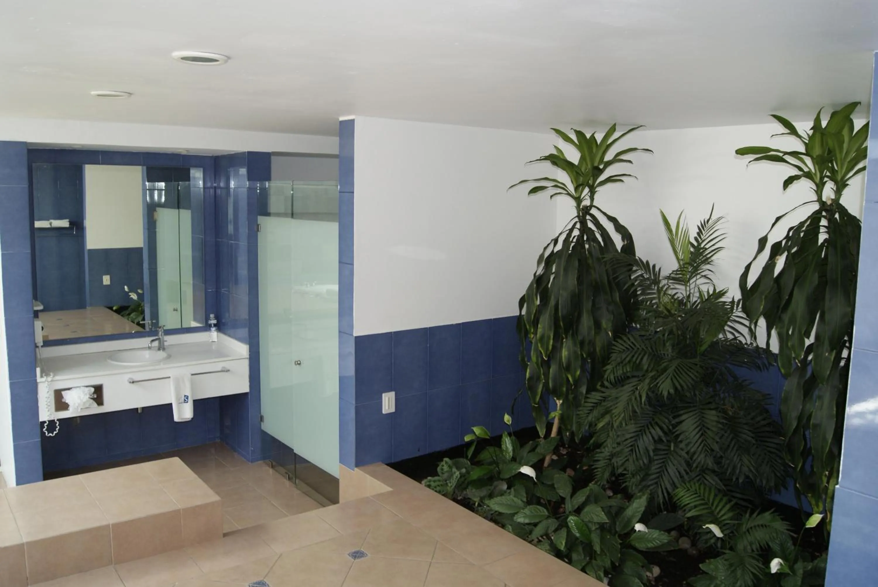 Shower in GS Cuernavaca Drive Inn - Adults Only