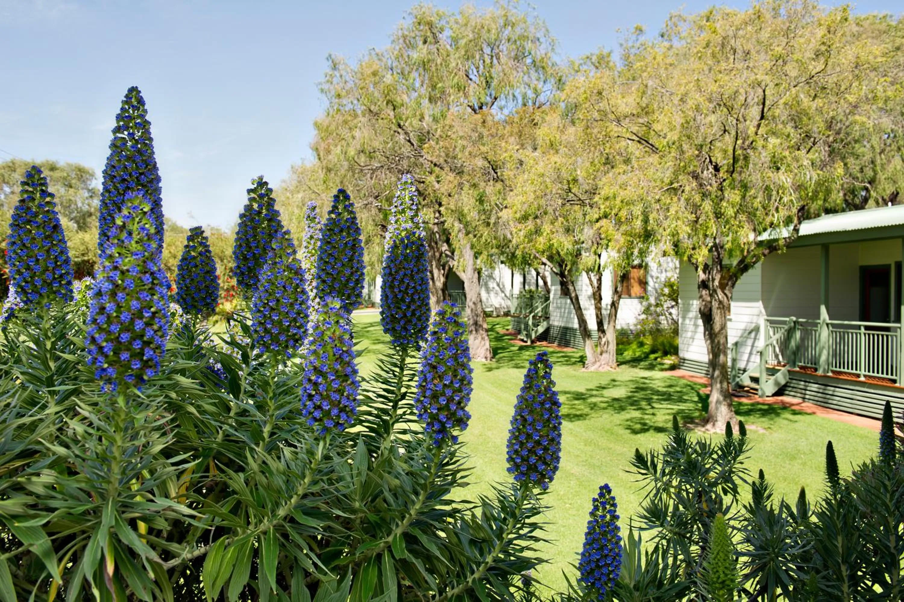 Garden in Mandalay Holiday Resort and Tourist Park