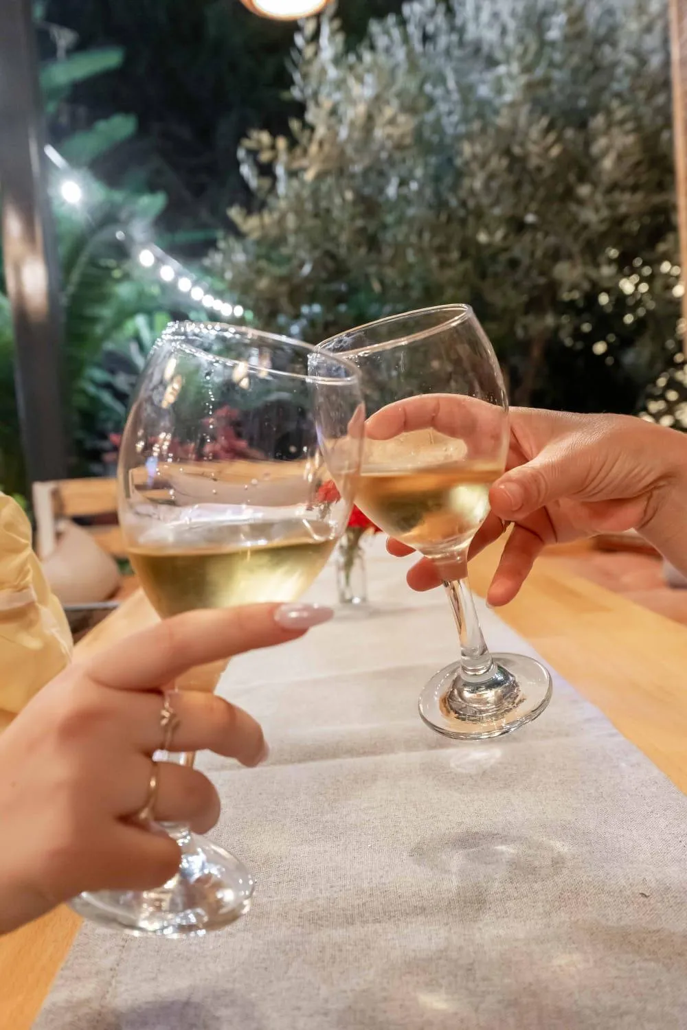 Drinks in Villa Green Garden