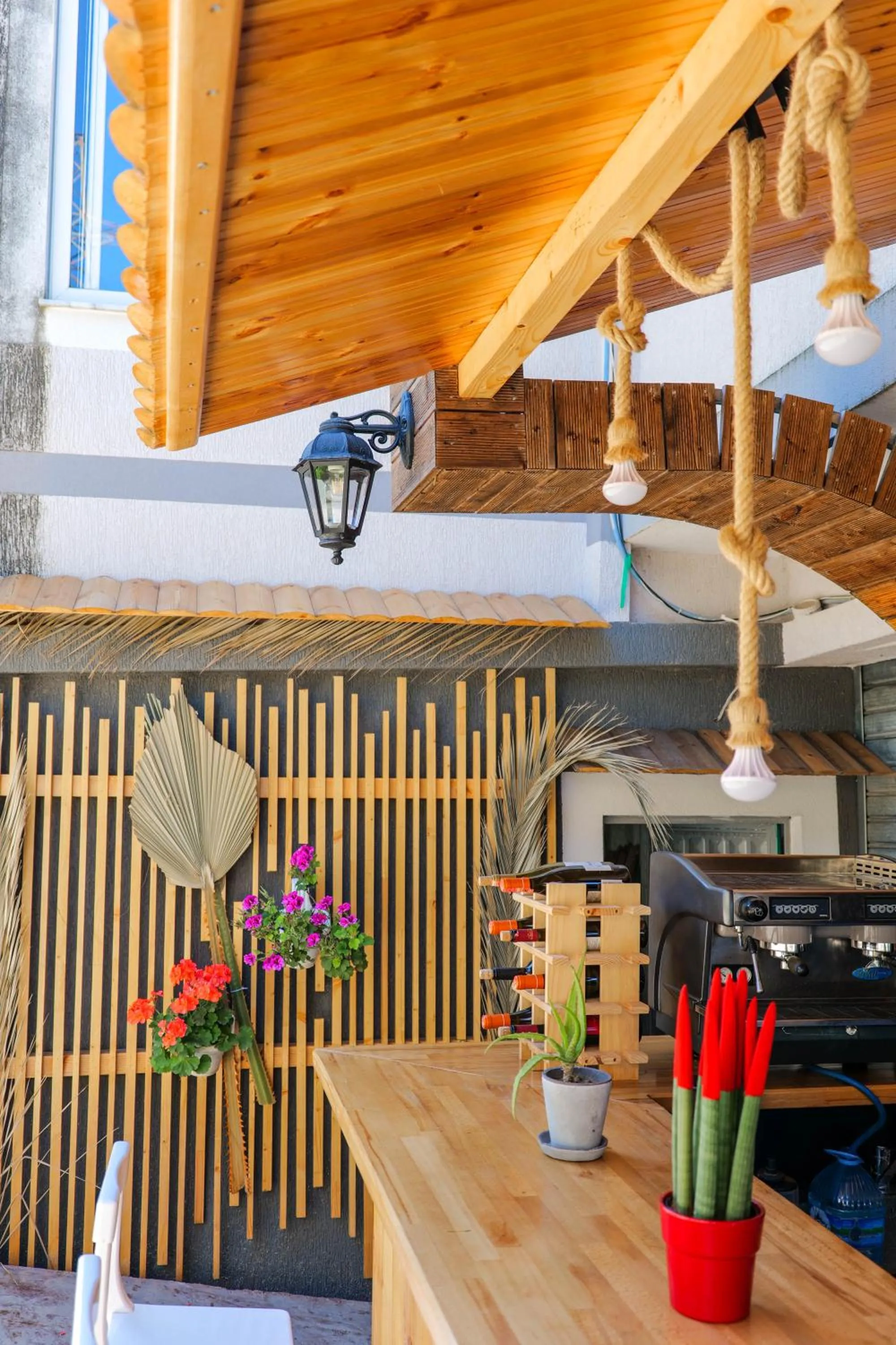 Food and drinks in Villa Green Garden