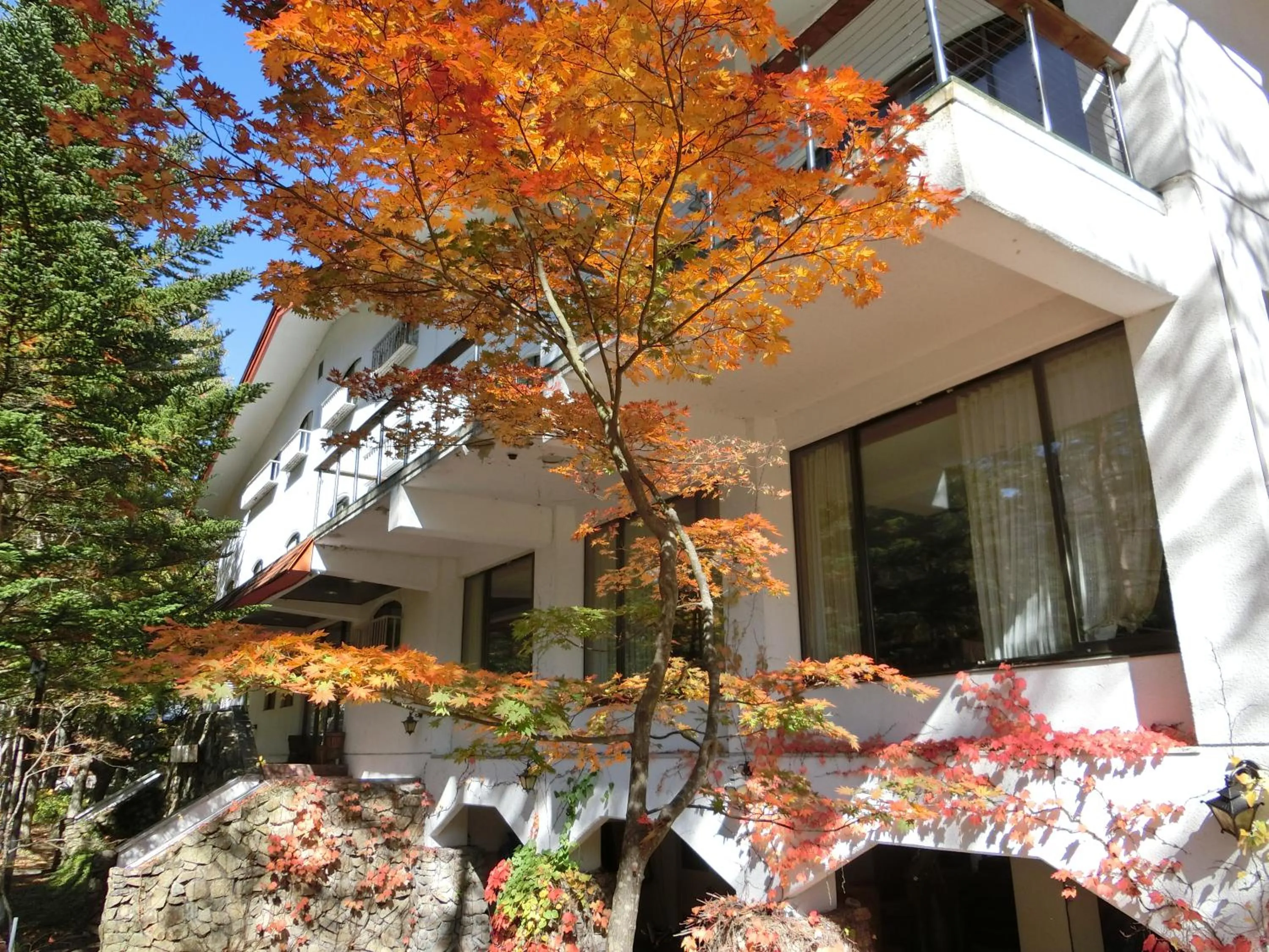 Patio in White Horse Hotel