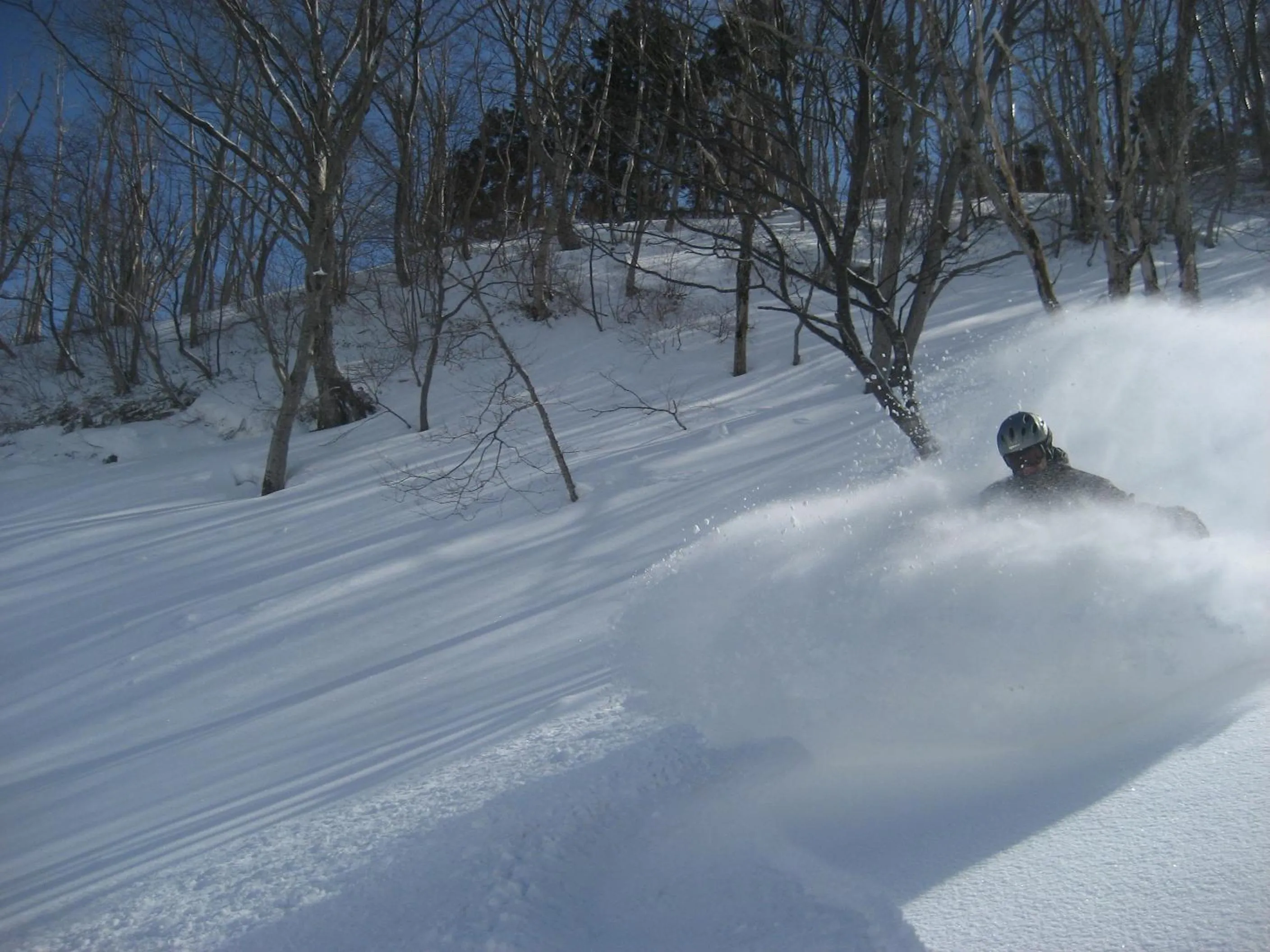 Winter in White Horse Hotel