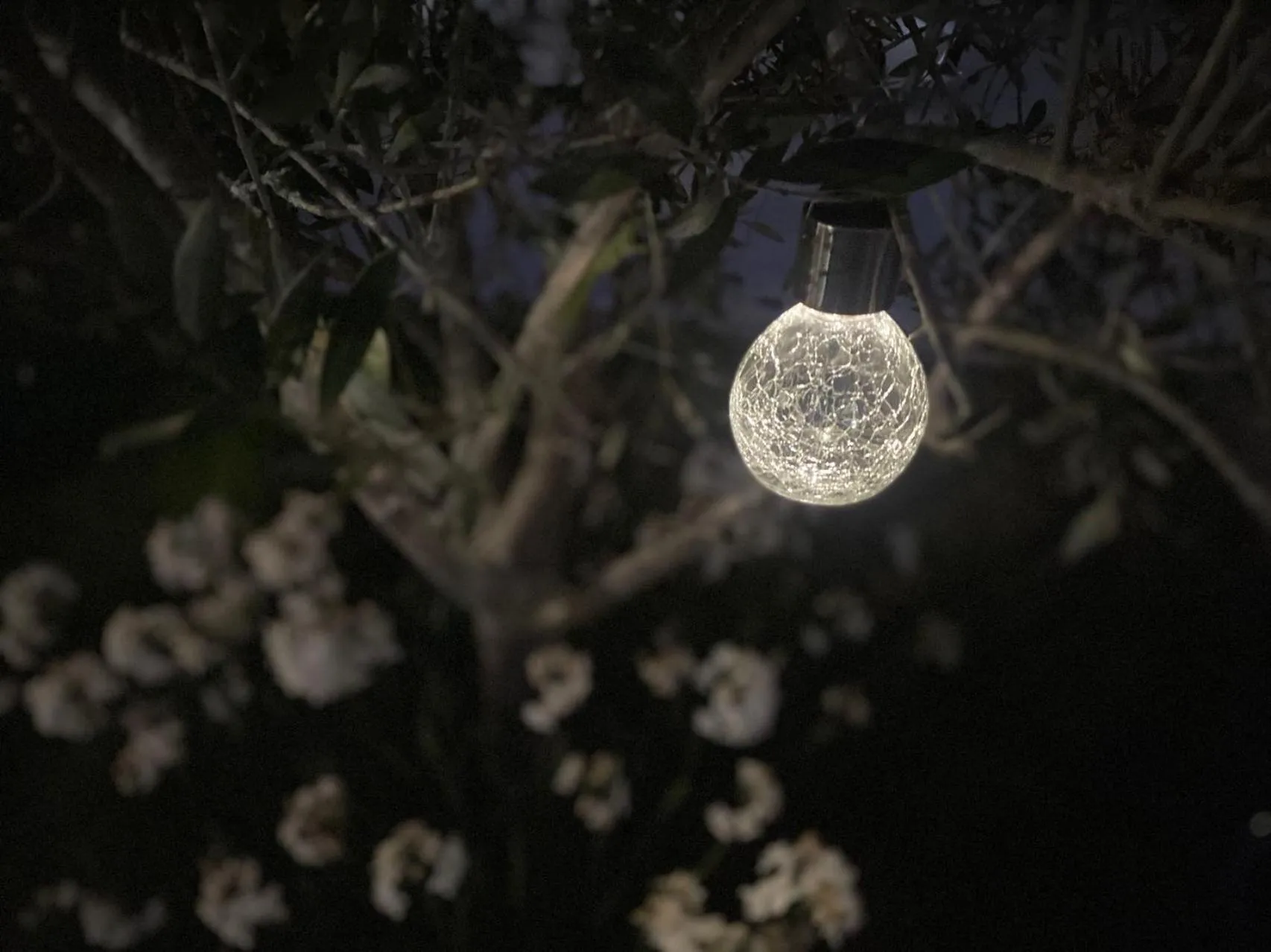 Night in De'Vine Escape