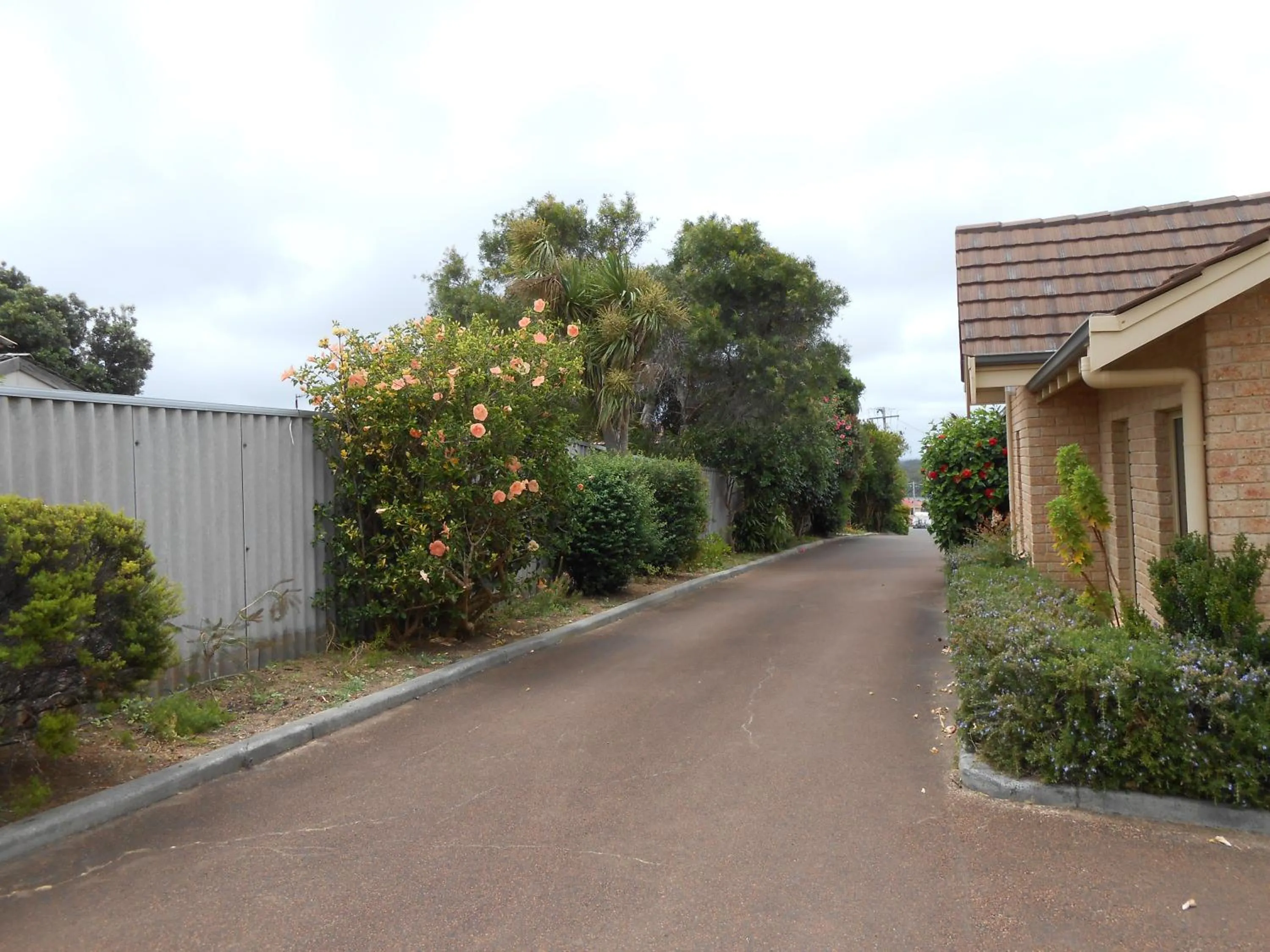 Garden in Augusta's Georgiana Molloy Motel
