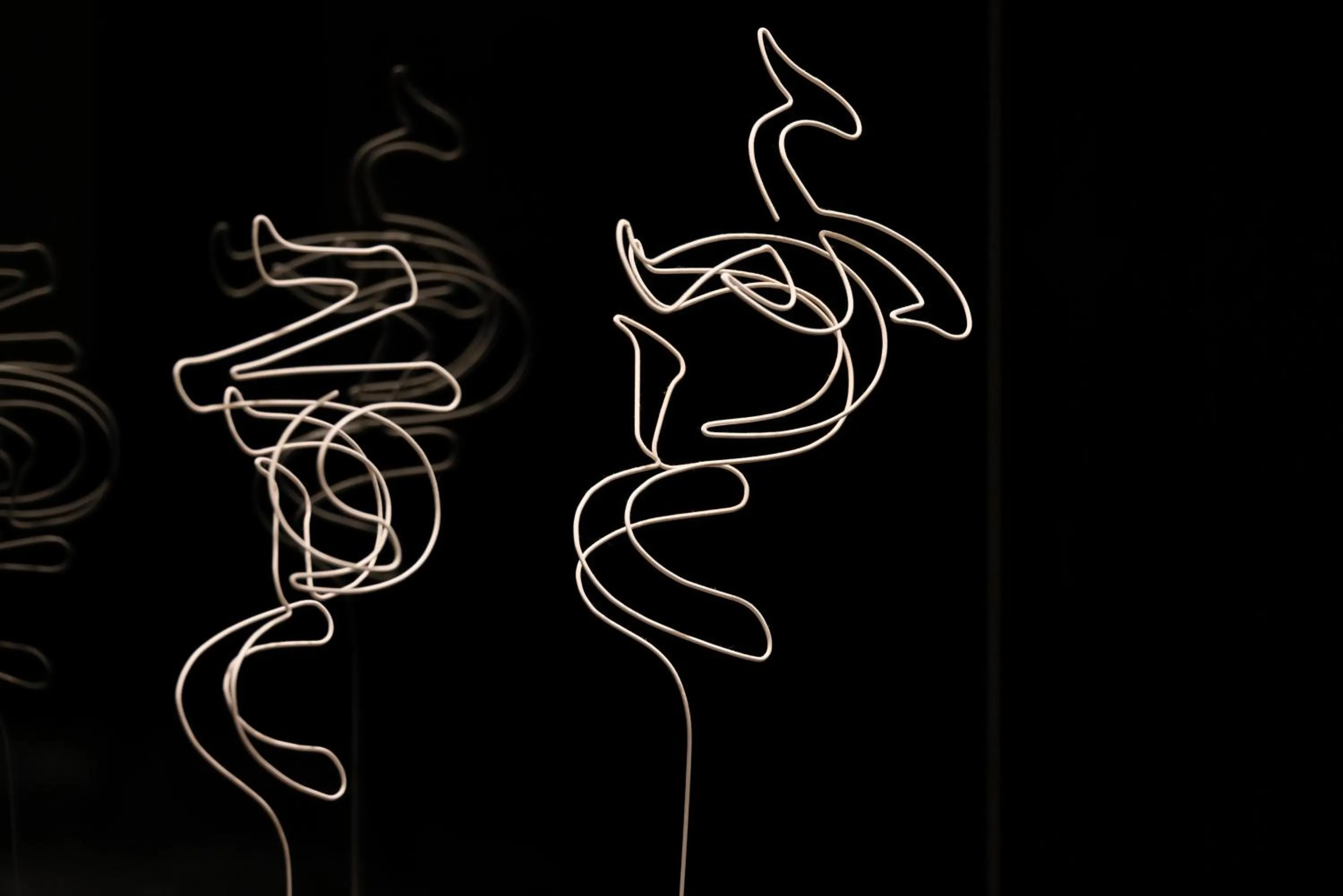 Area and facilities in The Royal Park Hotel Kyoto Sanjo