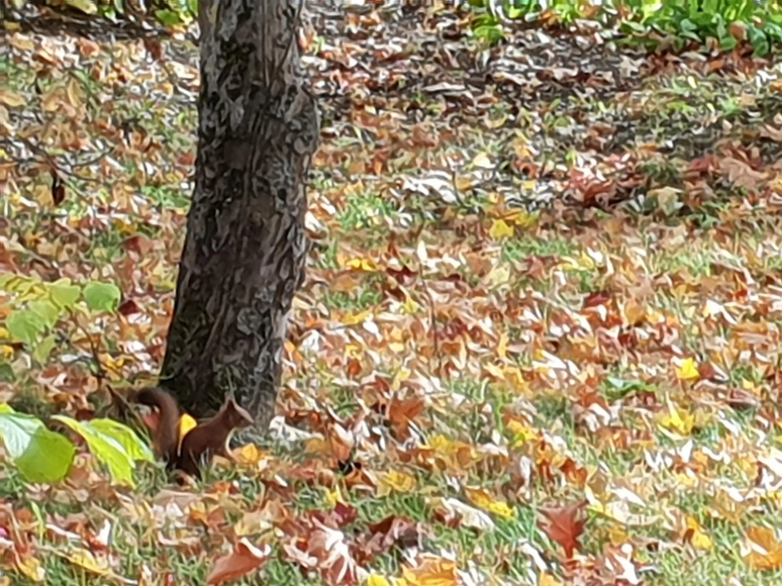 Matin ja Maijan Majatalo