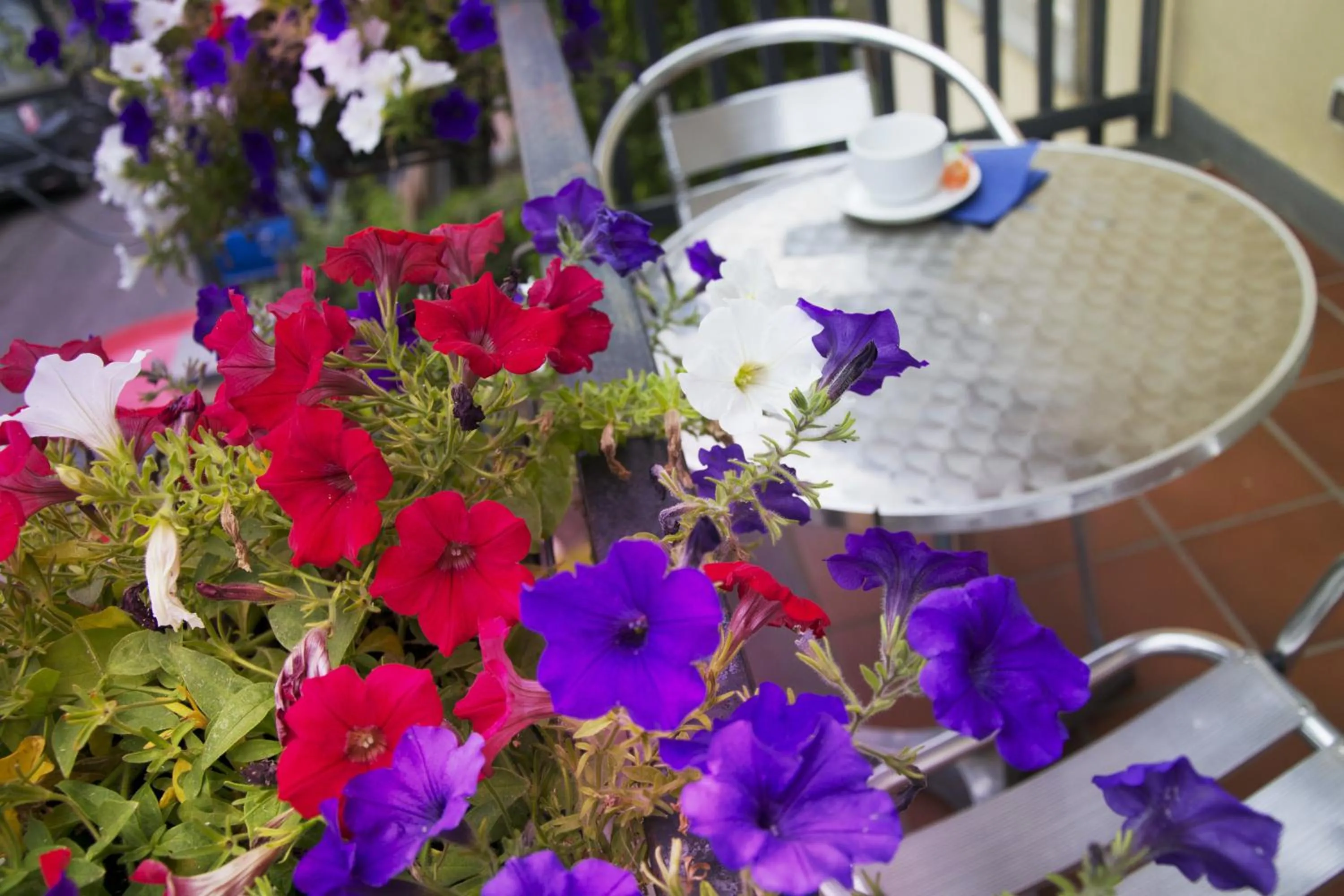 Spring in B&B Notti E Dintorni