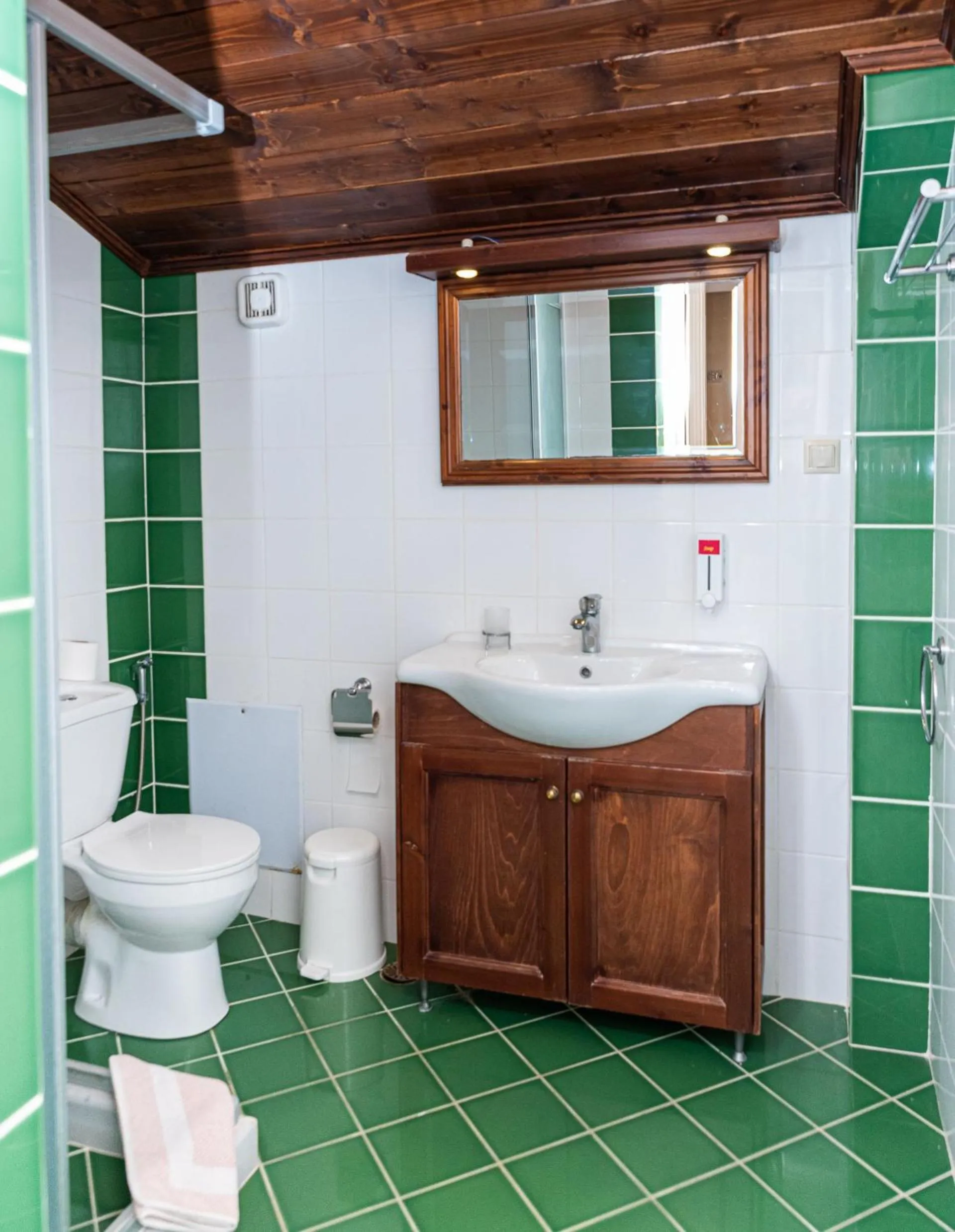 Bathroom in Sourediko